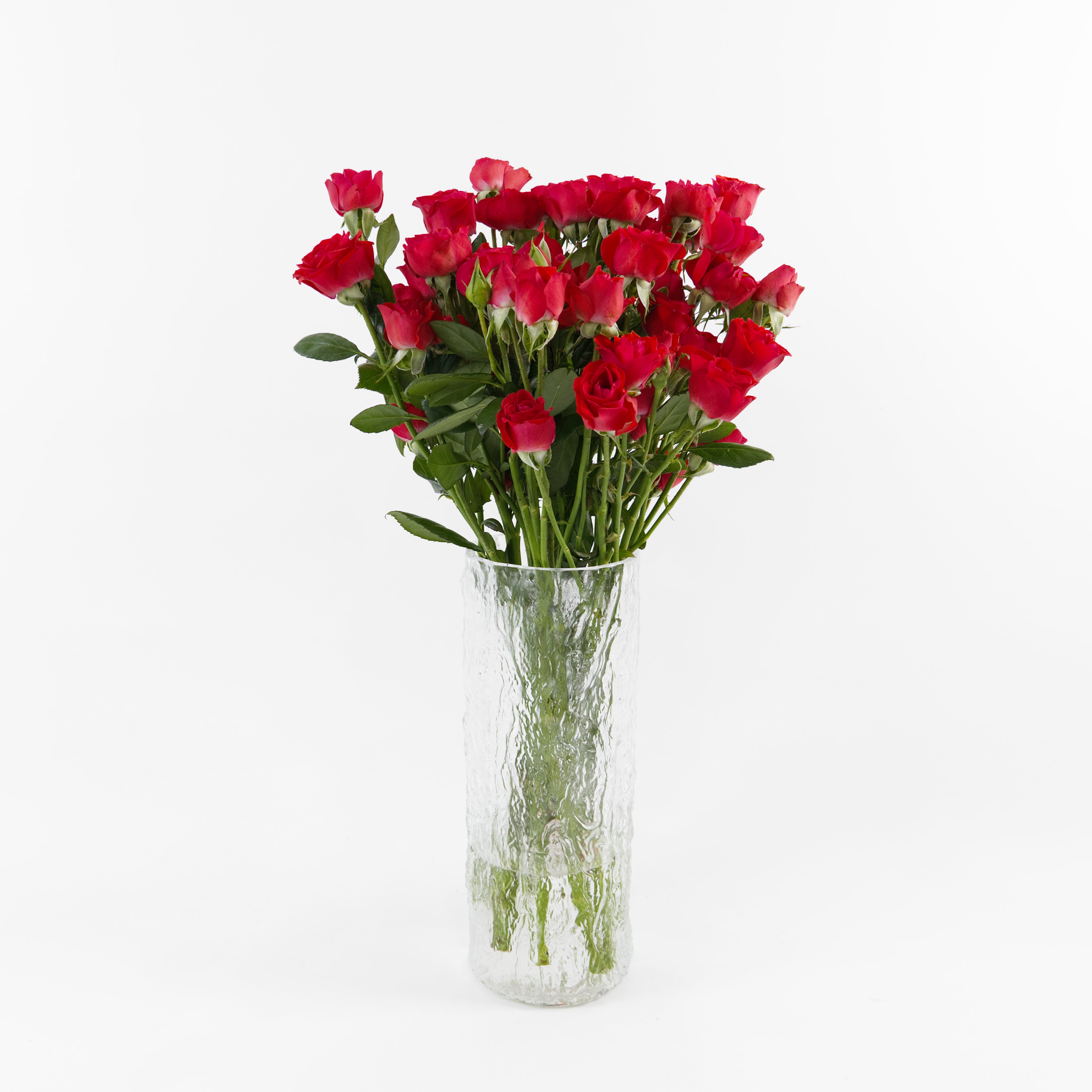 Bundles of Neon Red spray roses kept in clean water containers inside a floral cold storage room in Kuala Lumpur.