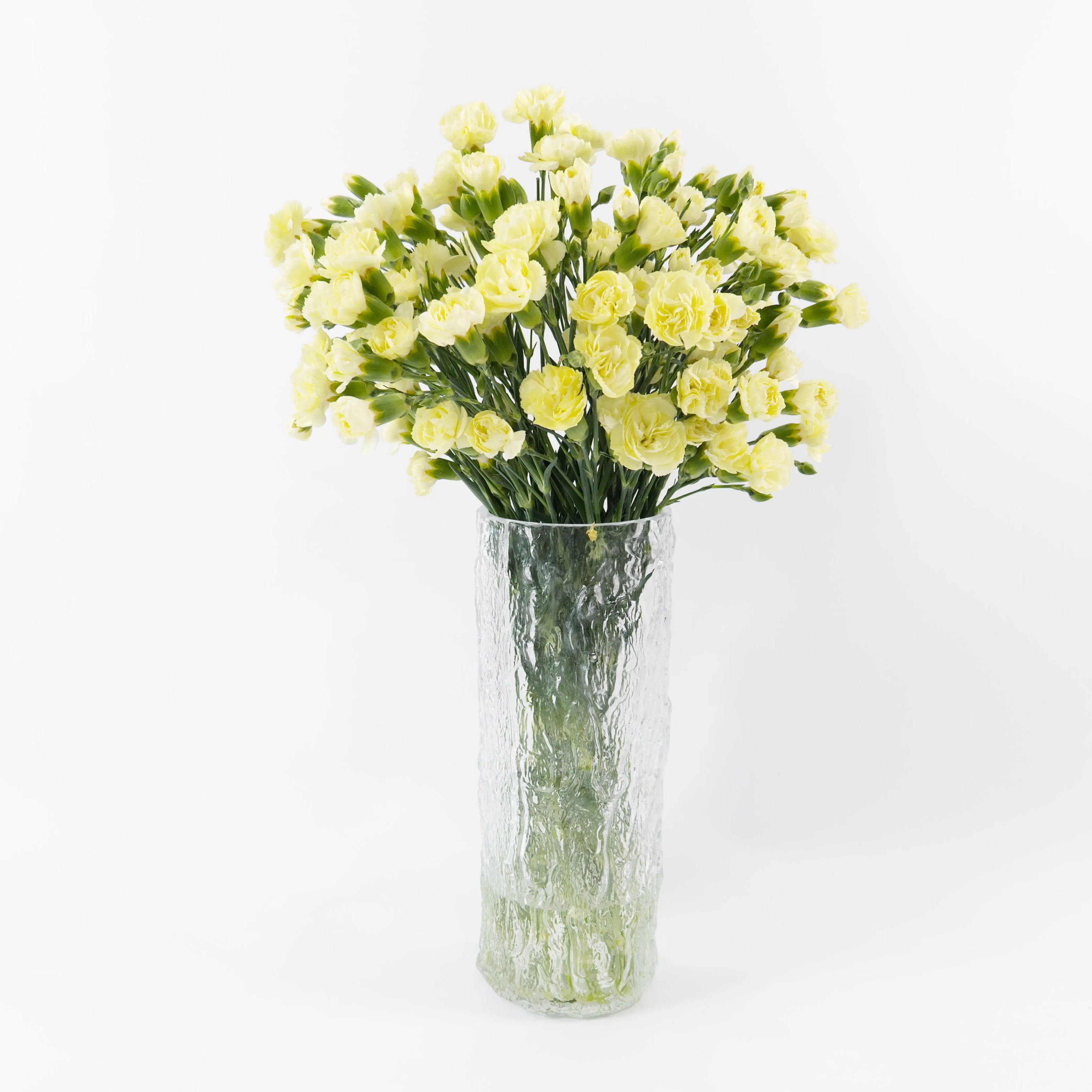 Bundles of Yellow spray carnations in clean water containers inside a floral cold storage room in Kuala Lumpur.