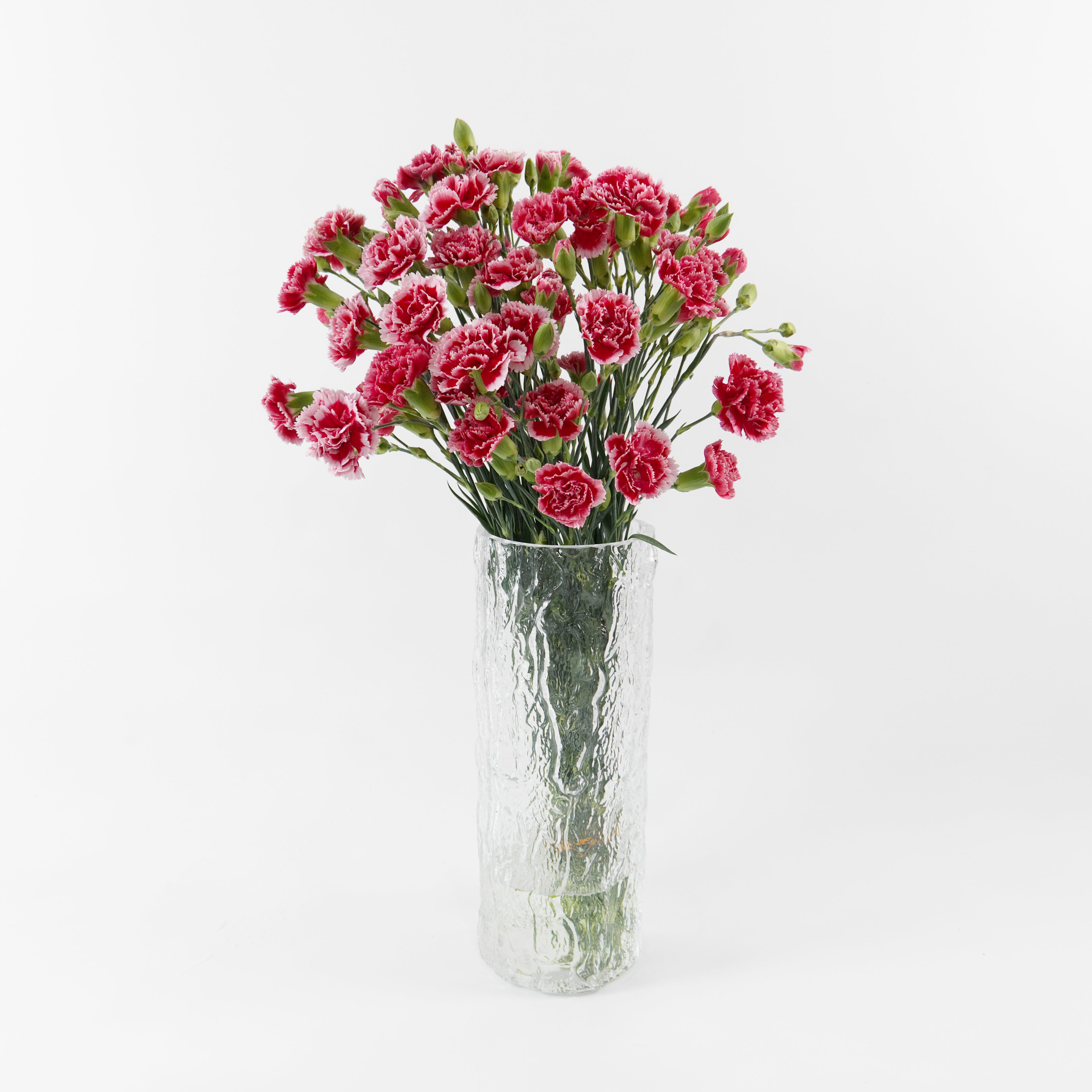 Bundles of Red White spray carnations in clean water buckets inside a floral cold storage room in Kuala Lumpur.
