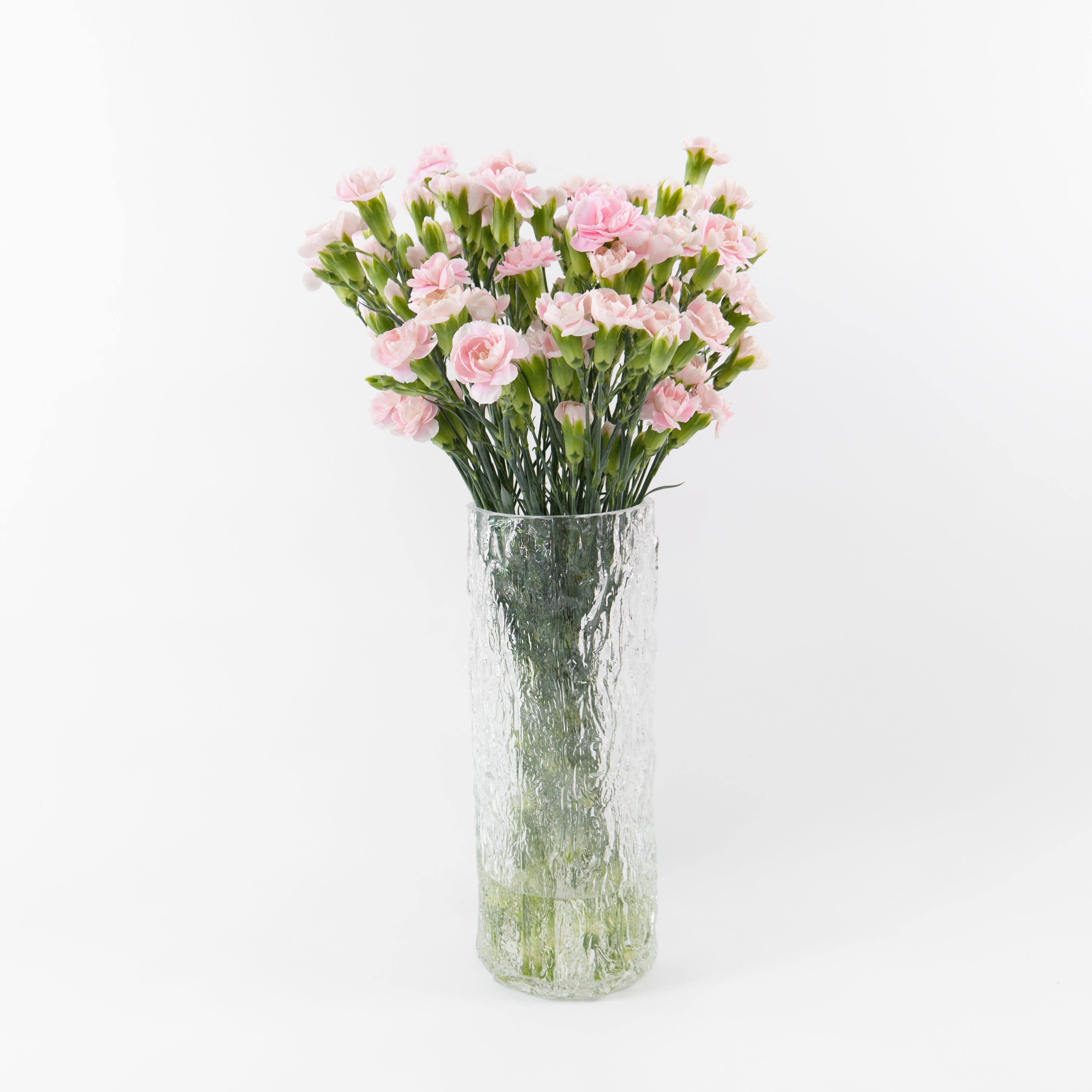 A bouquet of light pink carnations in a tall, textured clear glass vase, set against a plain white background.