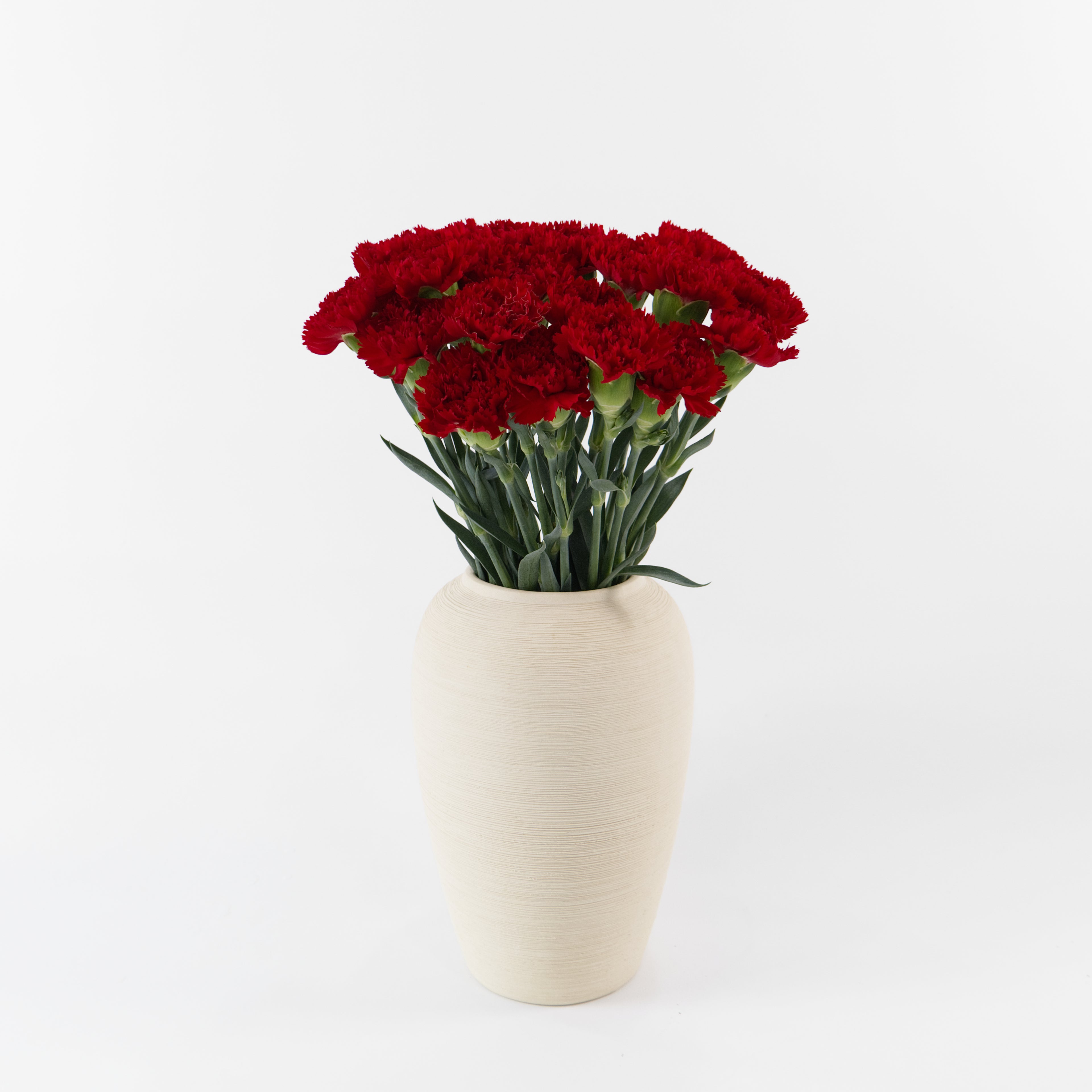 A bouquet of vibrant red carnations with green stems, arranged in a textured cream-colored ceramic vase against a clean white background.
