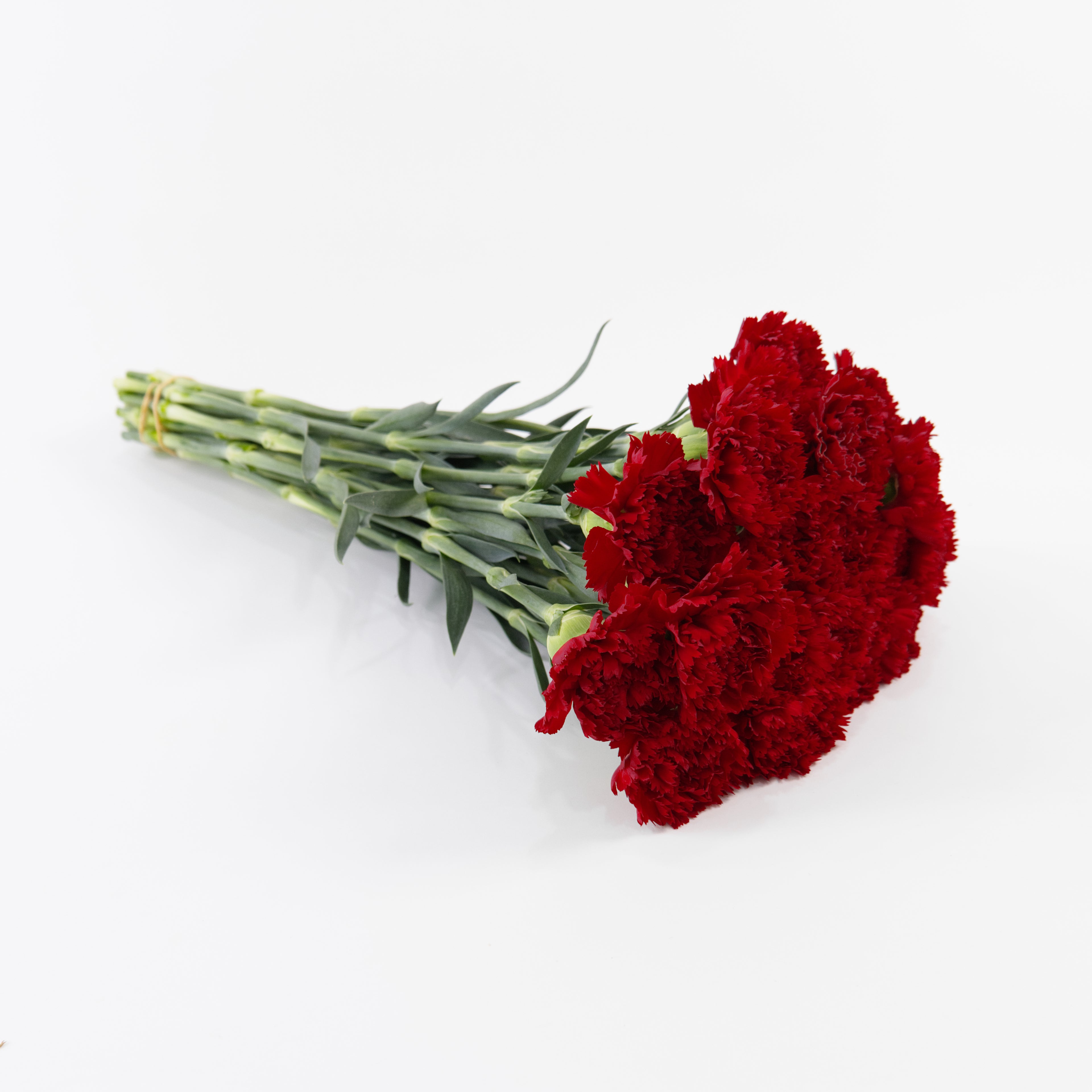 A bouquet of fresh red carnation flowers with green stems, arranged diagonally on a clean white background.