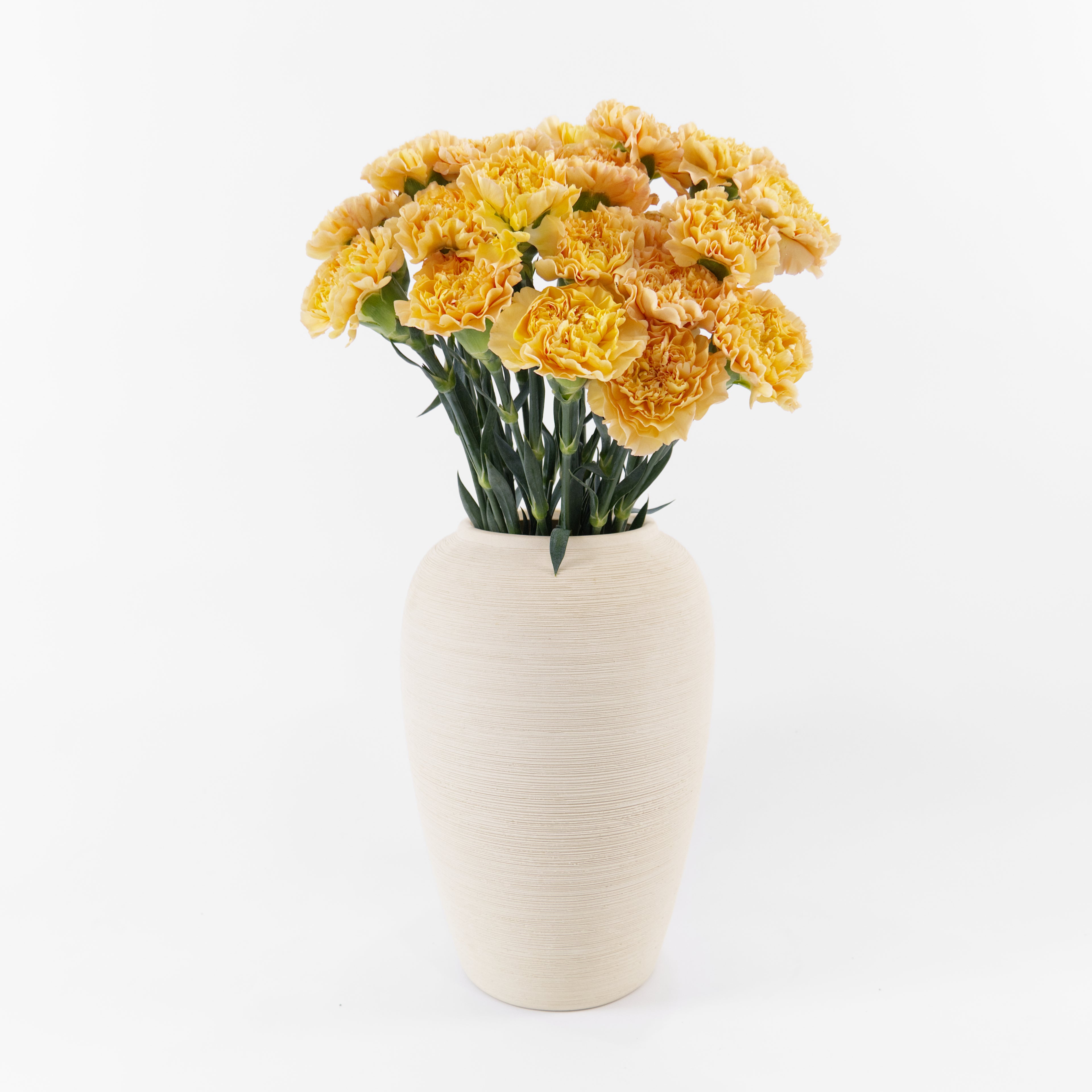 Bundles of Orange Peach carnations in clean water buckets inside a floral cold storage room in Kuala Lumpur.