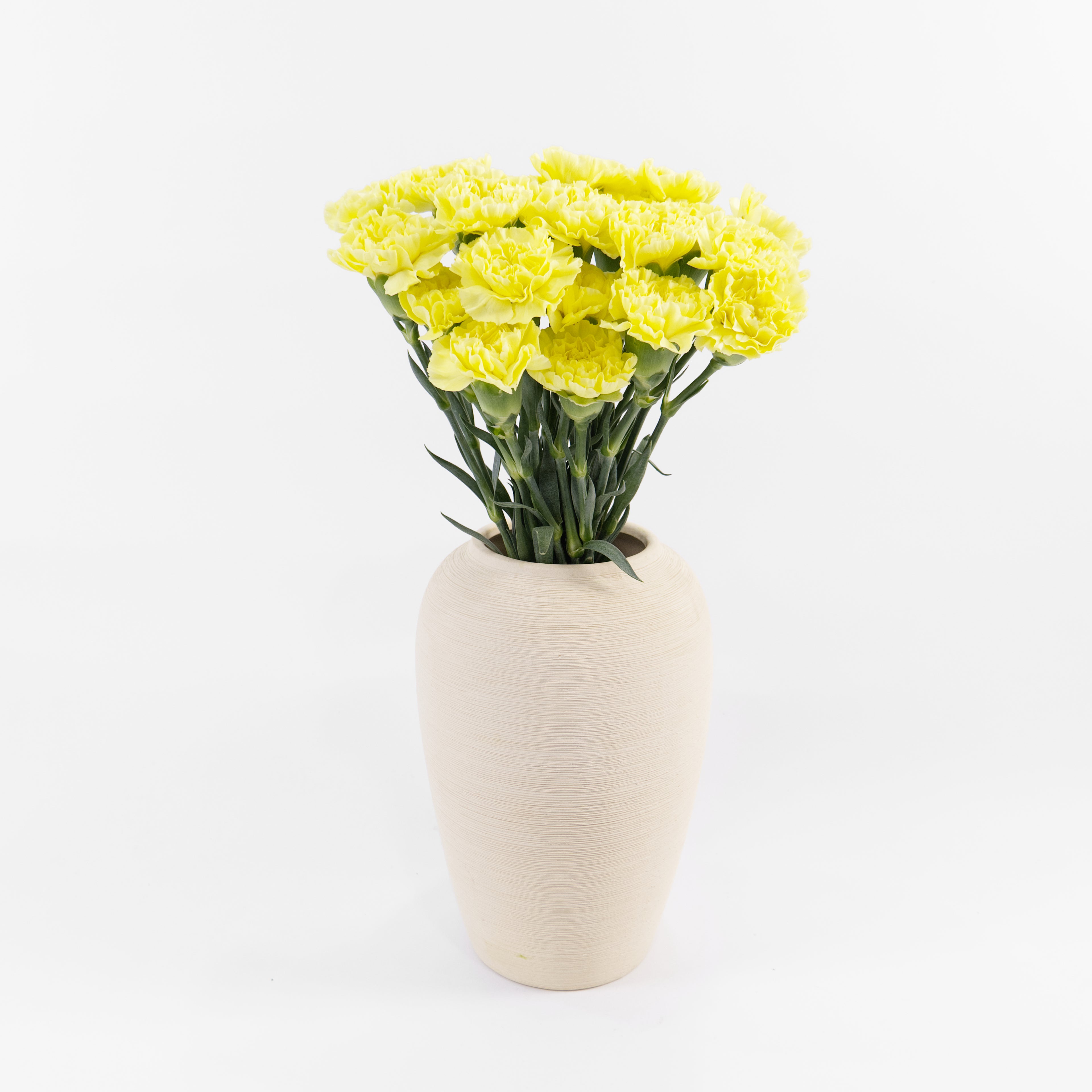 Bundles of imported China Yellow carnations standing in clean water buckets inside a floral cold storage room in Kuala Lumpur.