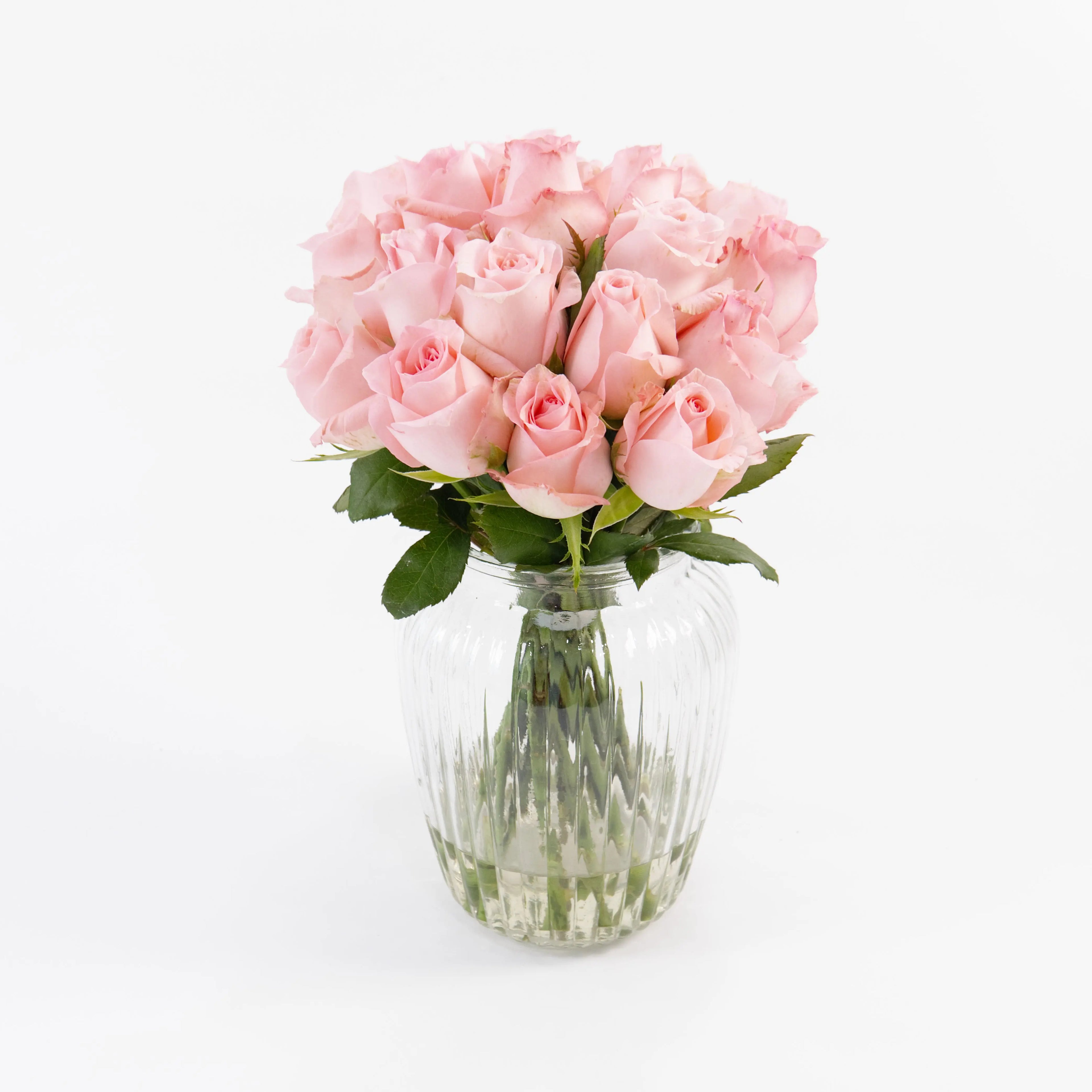 Bundles of Baby Pink roses standing in clean water buckets inside a floral cold storage room in Kuala Lumpur