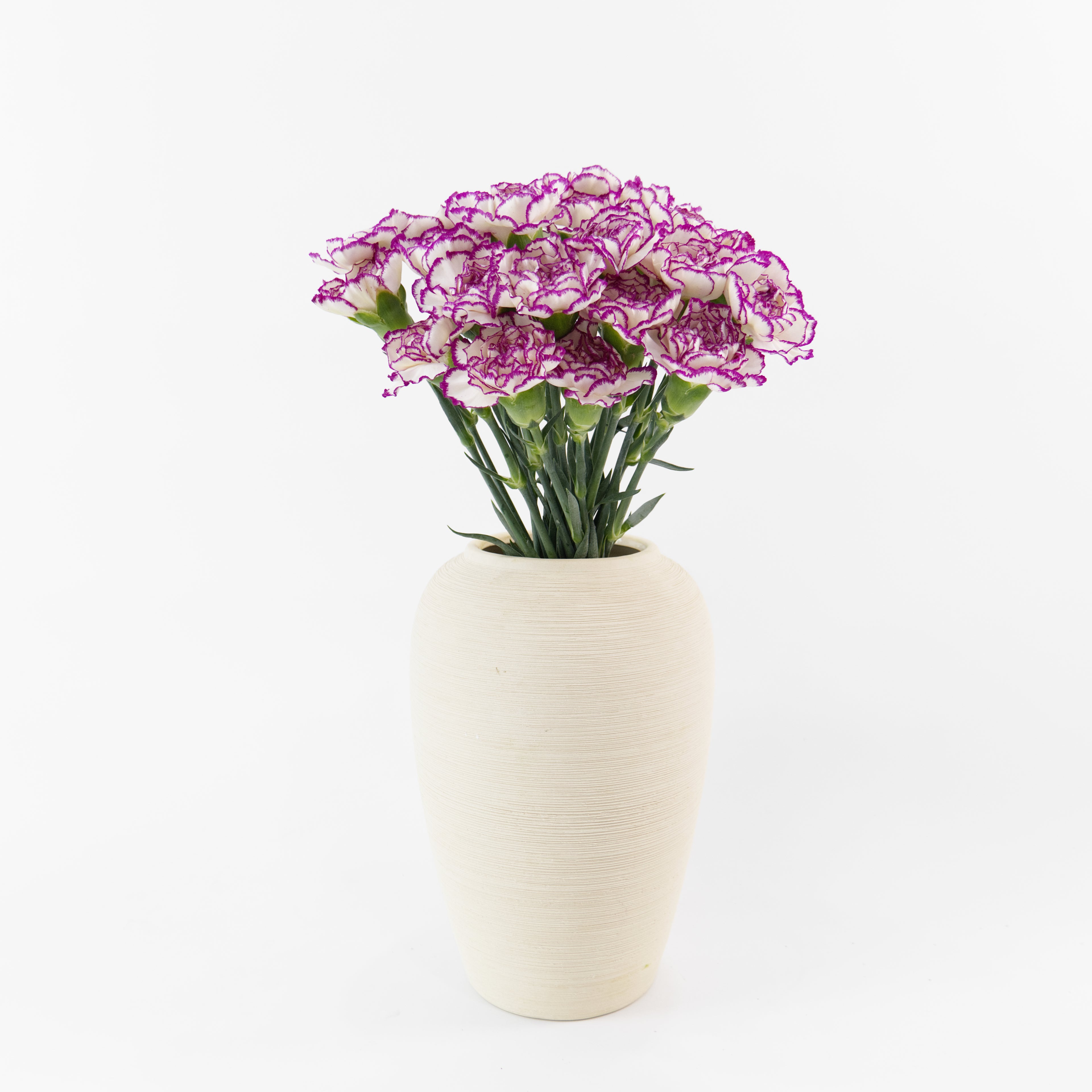 Bundles of 20-stem Purple White carnations in clean water buckets inside a floral cold storage room in Kuala Lumpur.