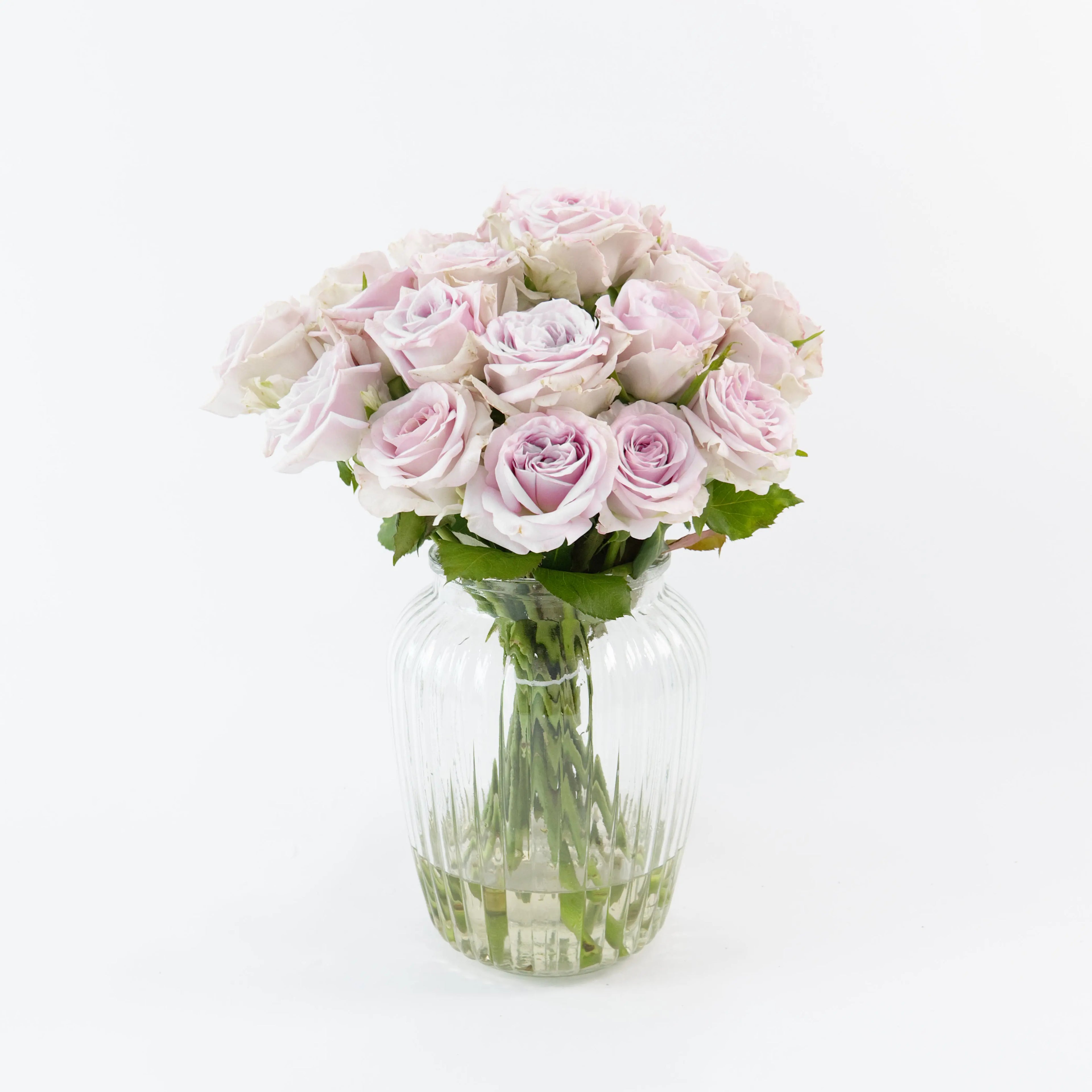 Bundles of Purple Lychee roses in clean water buckets inside a floral cold storage room in Kuala Lumpur.