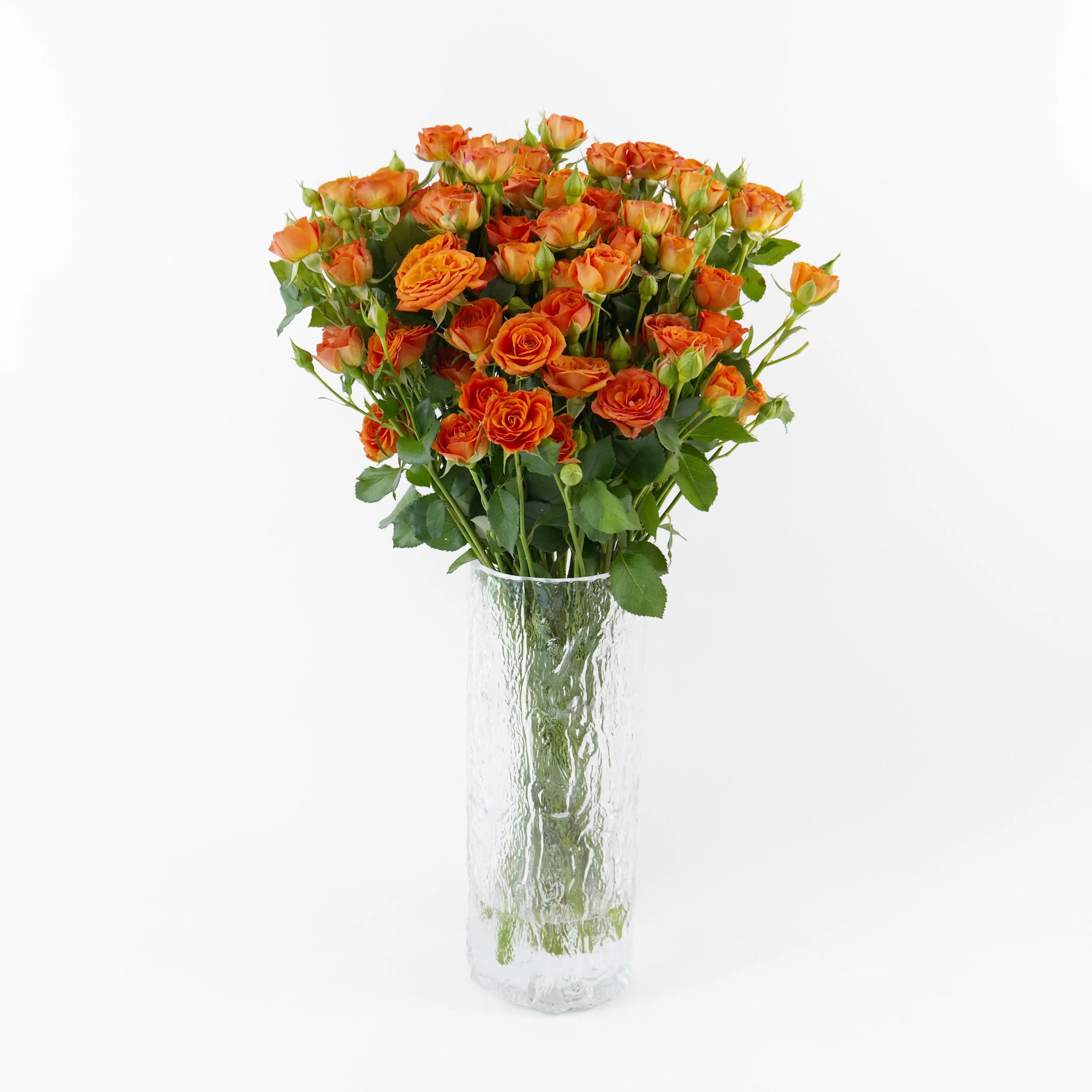 Bundles of Orange Barbie spray roses kept in clean water containers inside a floral cold storage room in Kuala Lumpur.