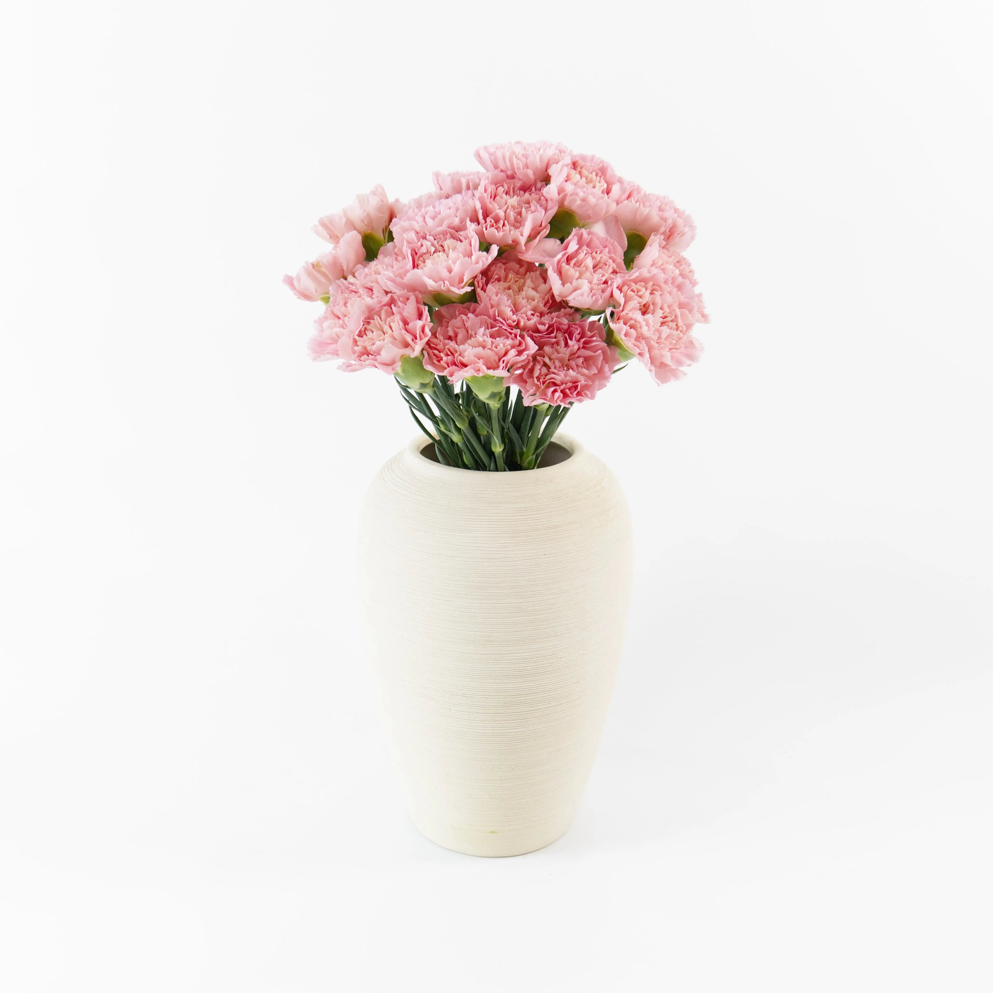Bundles of imported China Soft Pink carnations standing in clean water buckets inside a floral cold storage room in Kuala Lumpur.