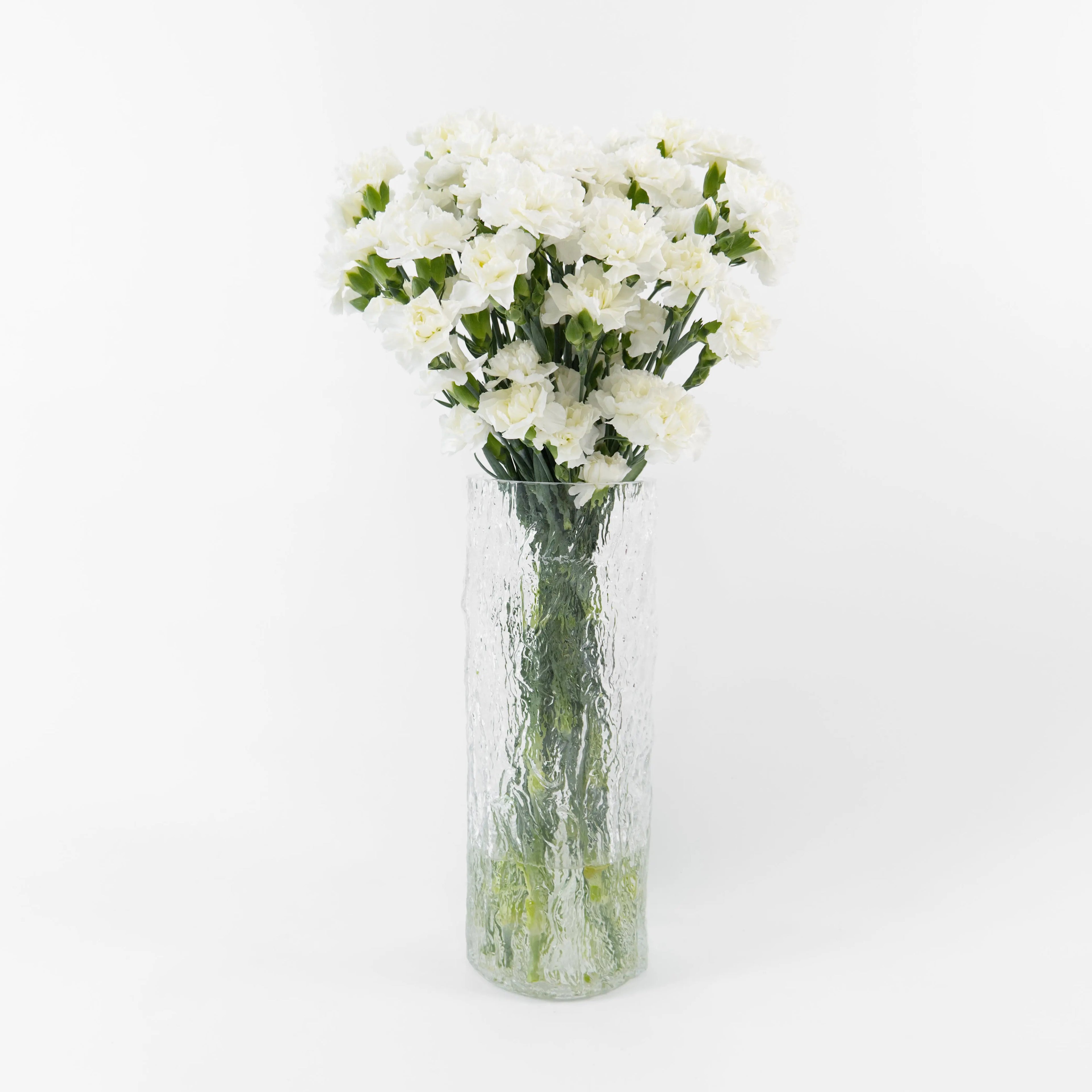 Bundles of White spray carnations in clean water buckets inside a floral cold storage room in Kuala Lumpur.
