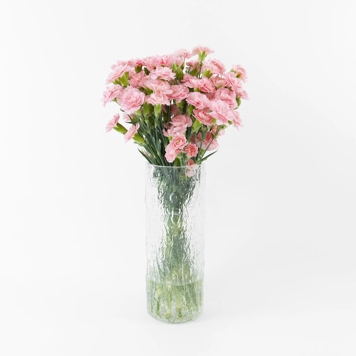 Bundles of Soft Pink spray carnations in clean water buckets inside a floral cold storage room in Kuala Lumpur.