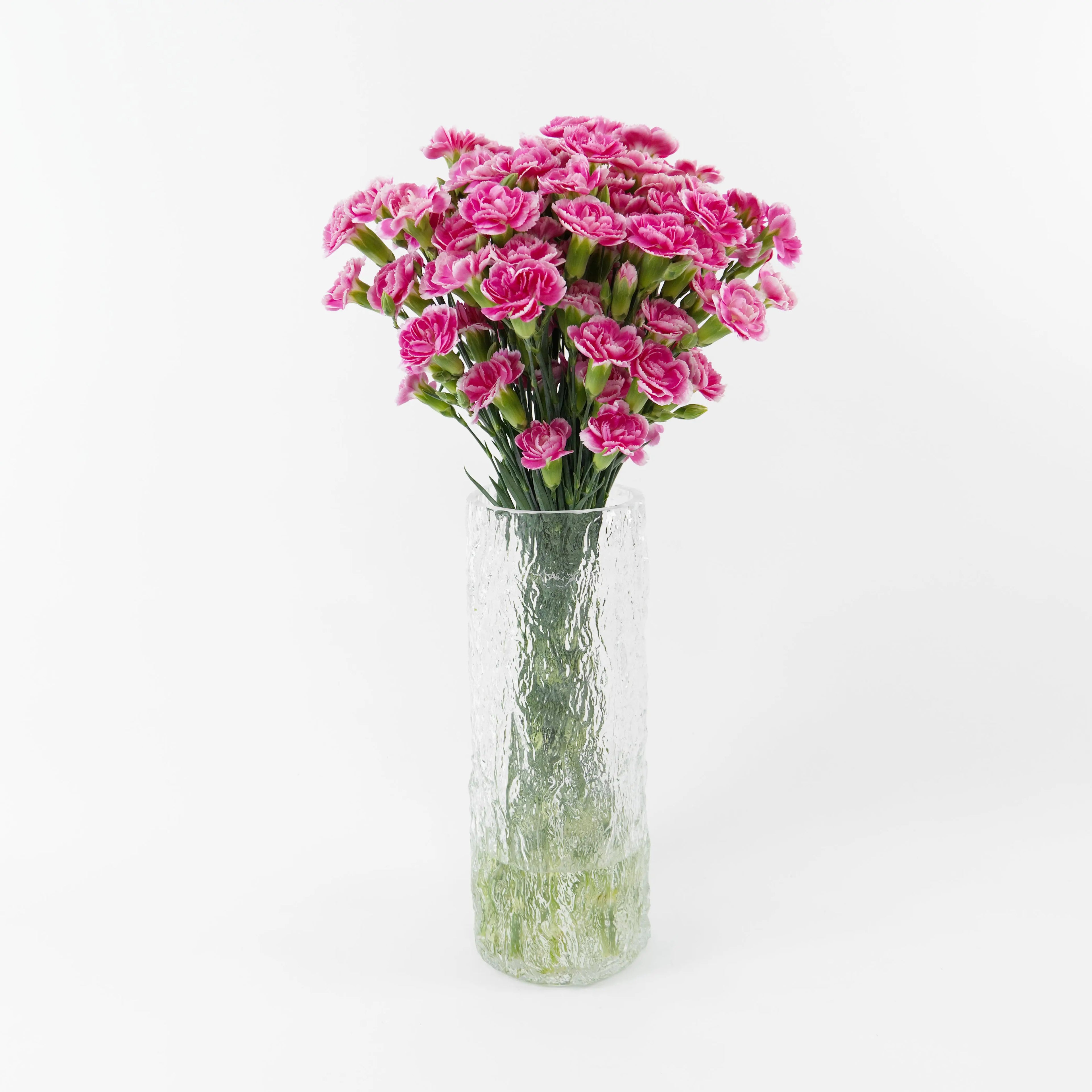 Bundles of Pink White spray carnations in clean water buckets inside a floral cold storage room in Kuala Lumpur.