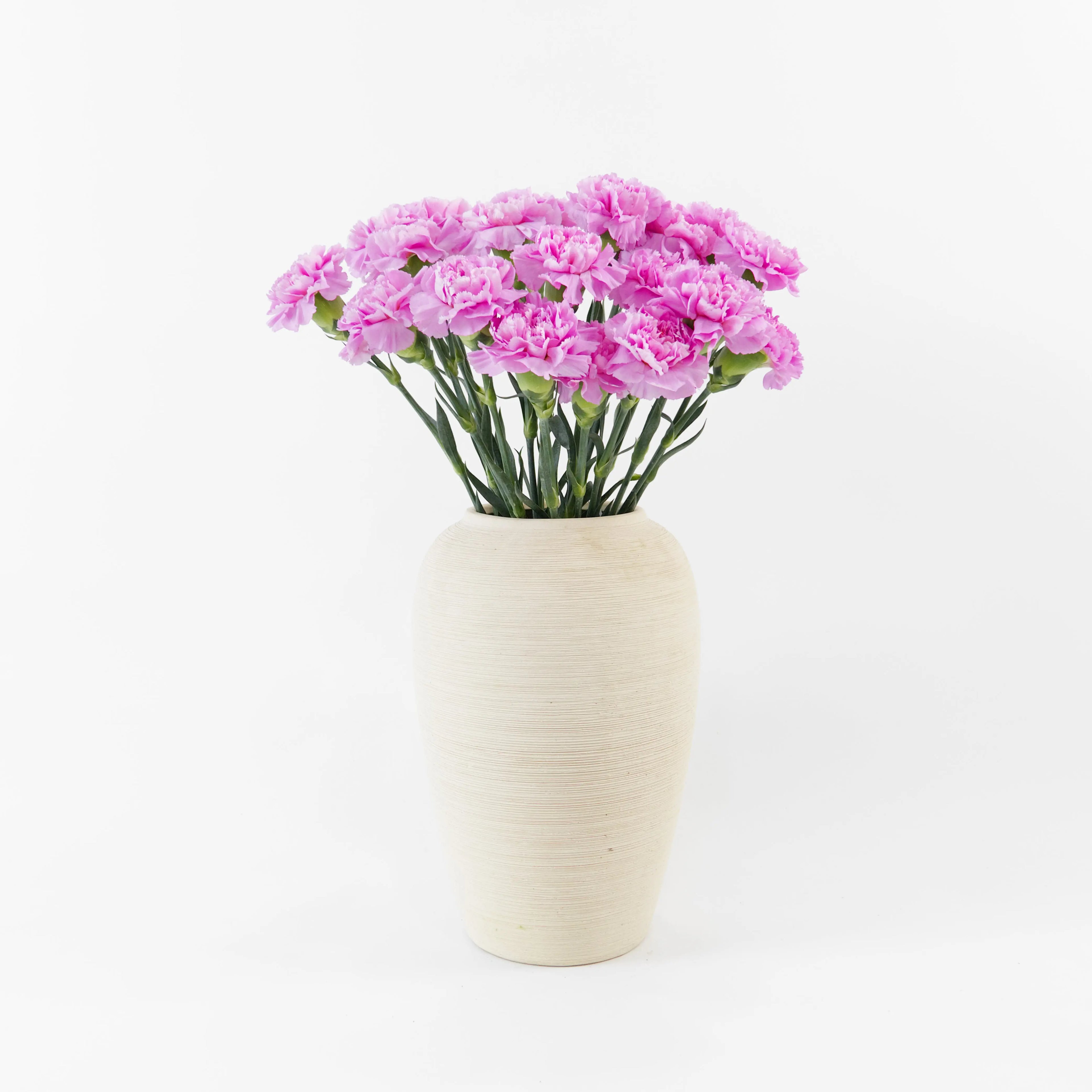 Bundles of Light Purple carnations in clean water buckets inside a floral cold storage room in Kuala Lumpur.
