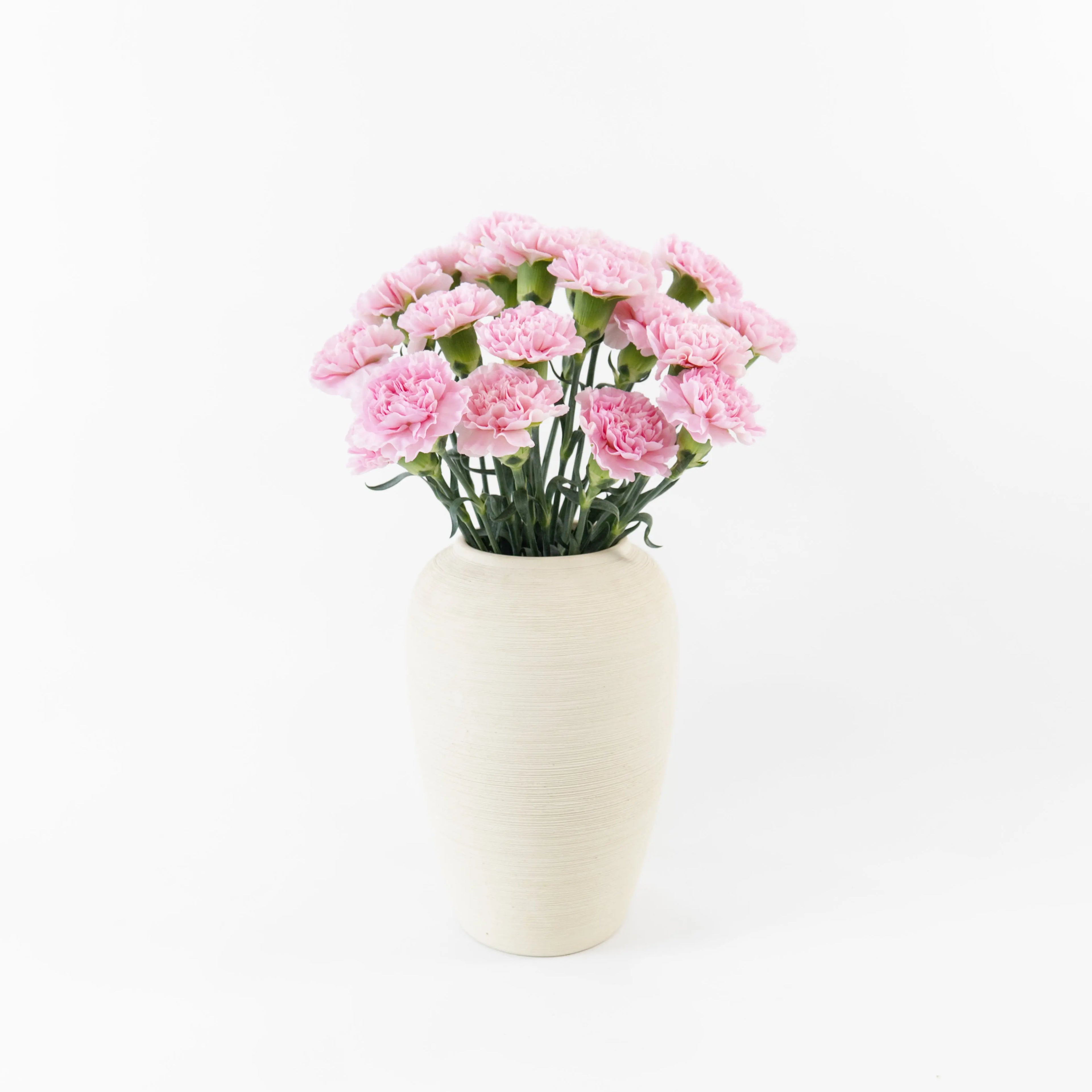 Bundles of Soft Pink carnations in clean water buckets inside a floral cold storage room in Kuala Lumpur.
