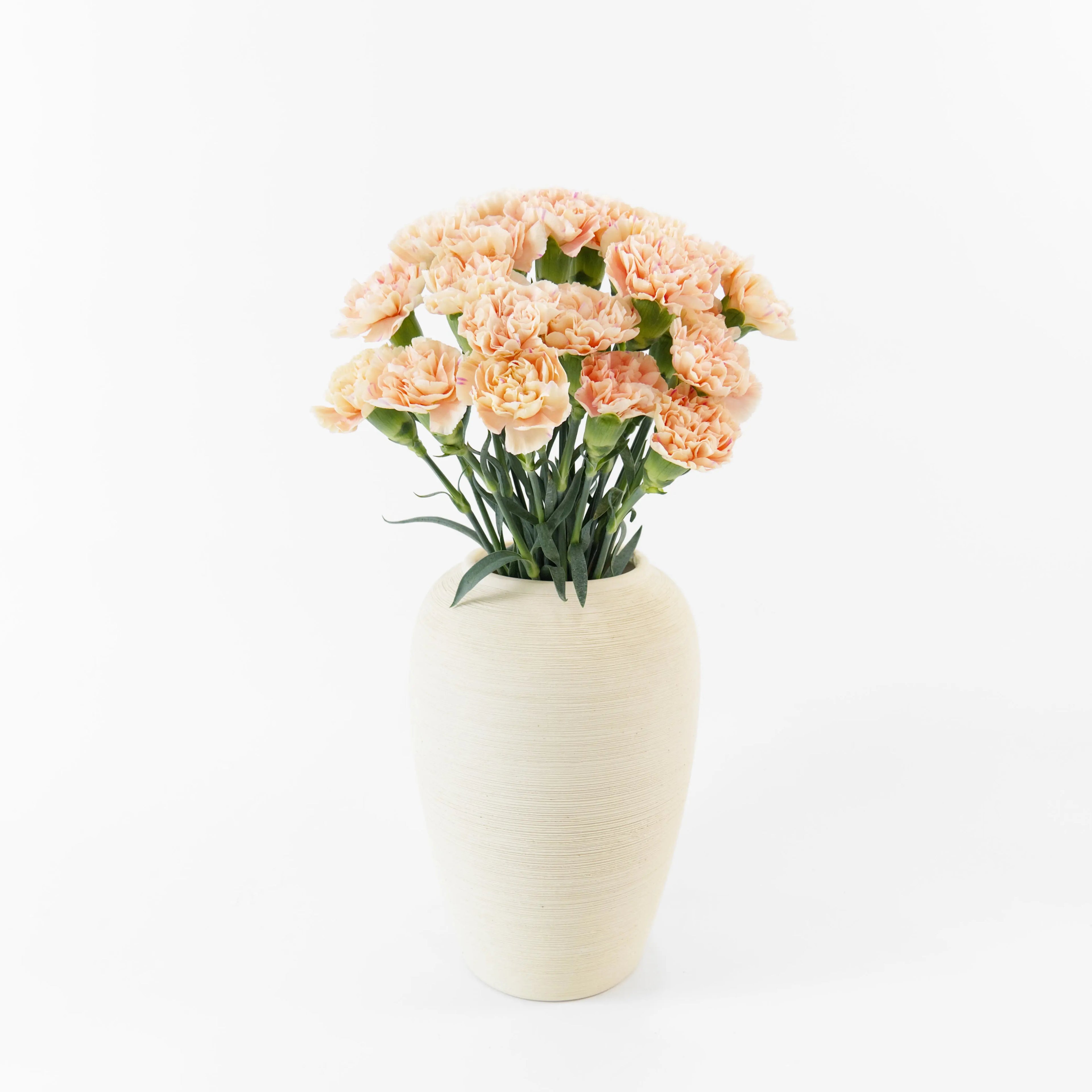 Bundles of Peach carnations in clean water buckets inside a floral cold storage room in Kuala Lumpur.