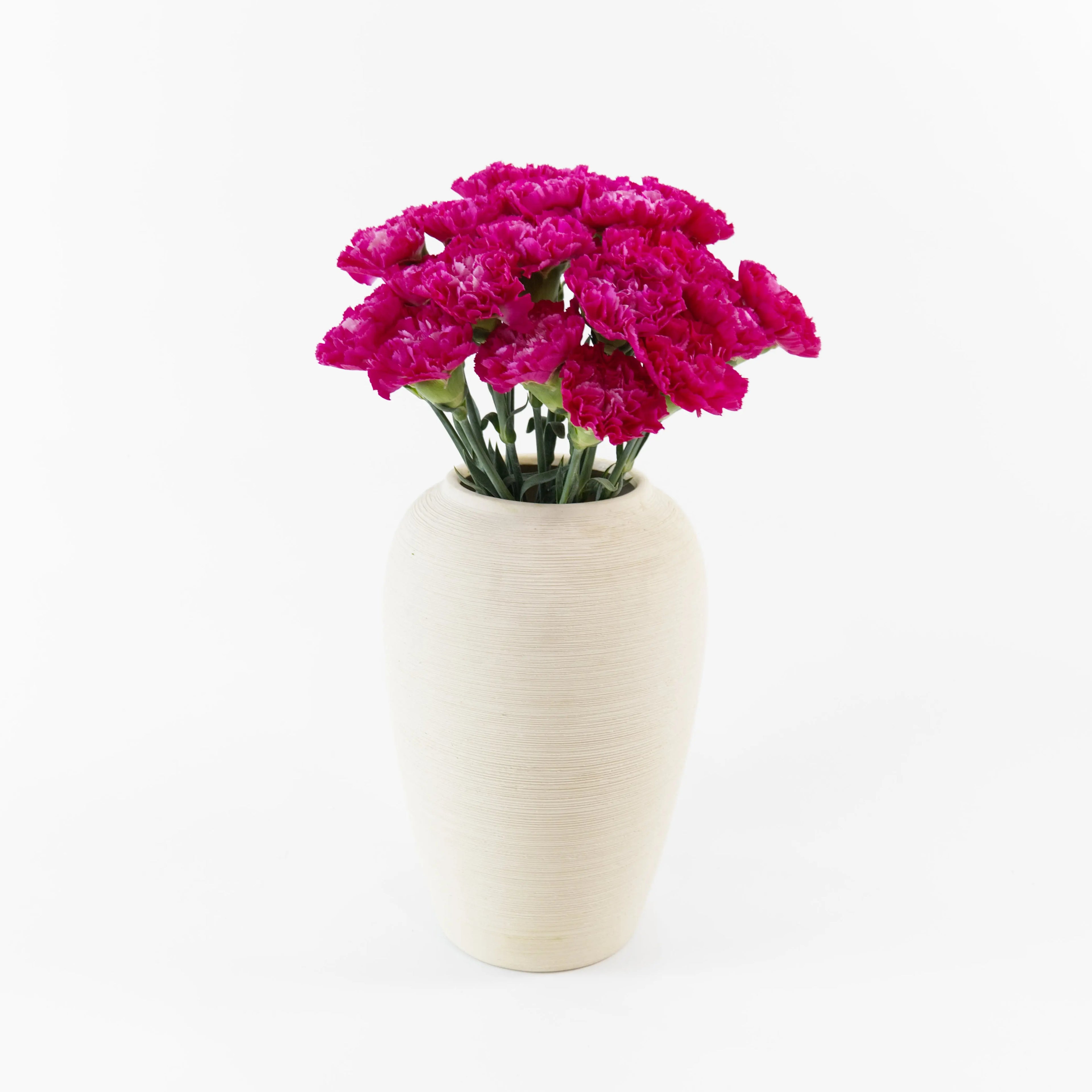 Bundles of Hot Cherry Pink carnations in clean water buckets inside a floral cold storage room in Kuala Lumpur.