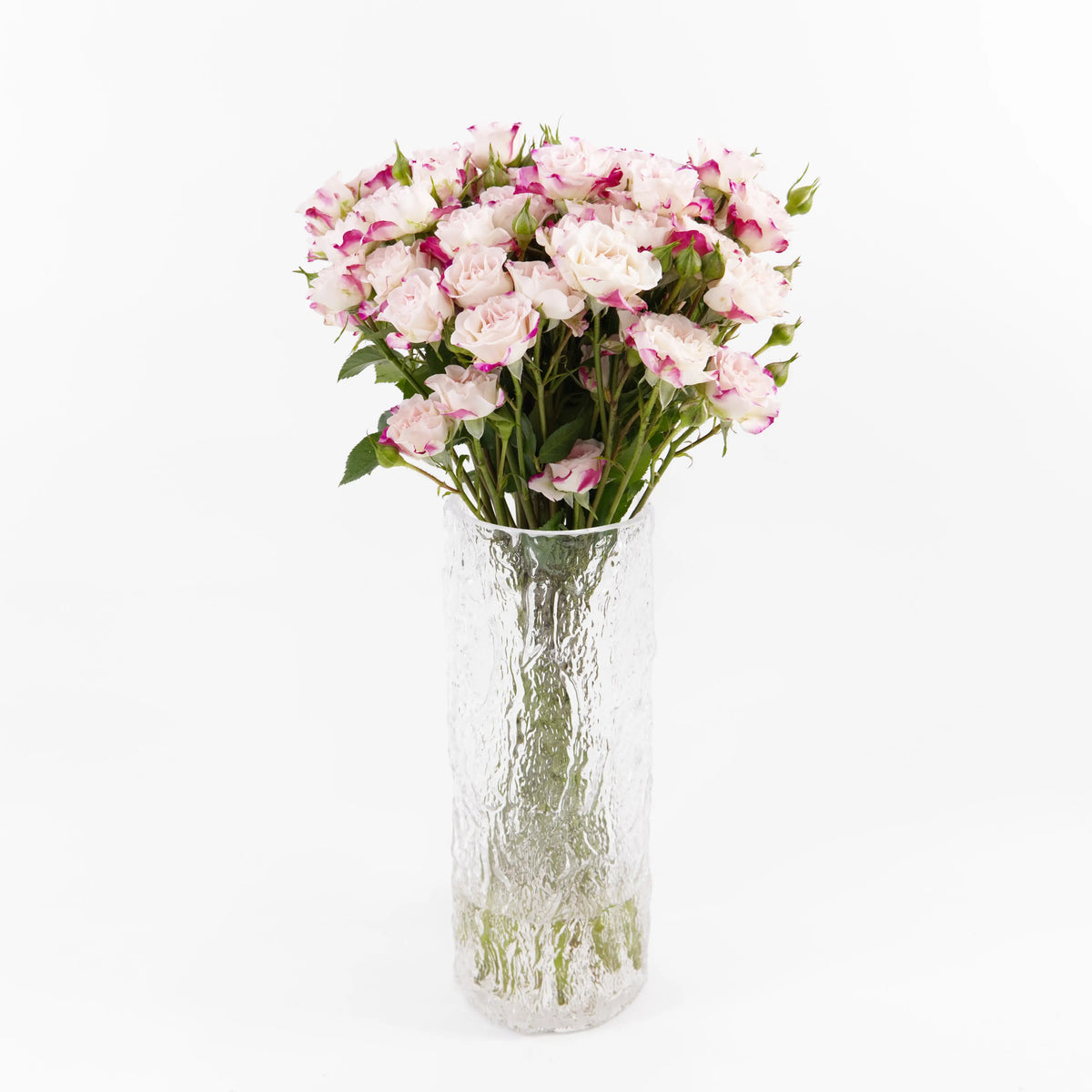 Rose Spray - Refringence China