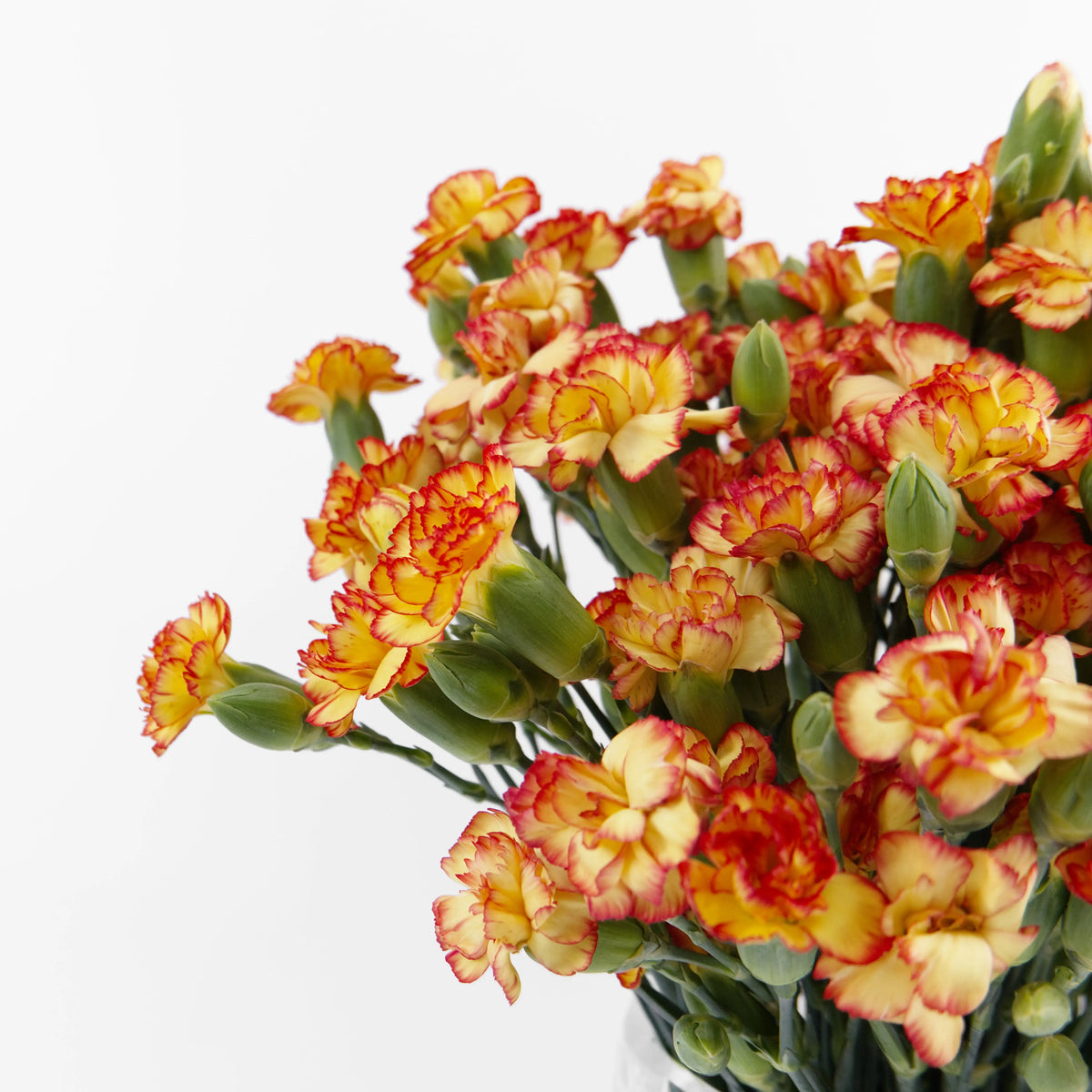 Carnation Spray - Orange Yellow China