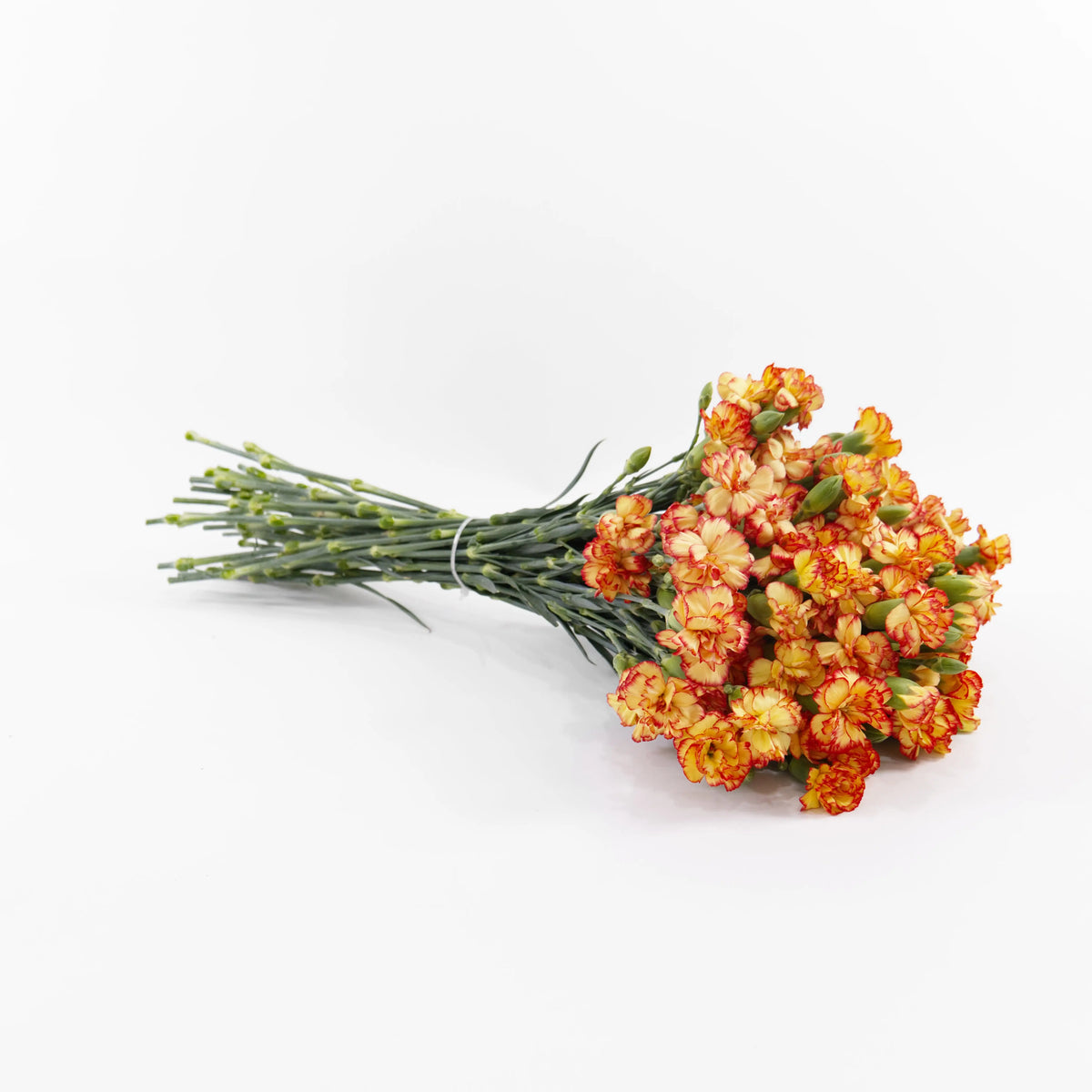 Carnation Spray - Orange Yellow China