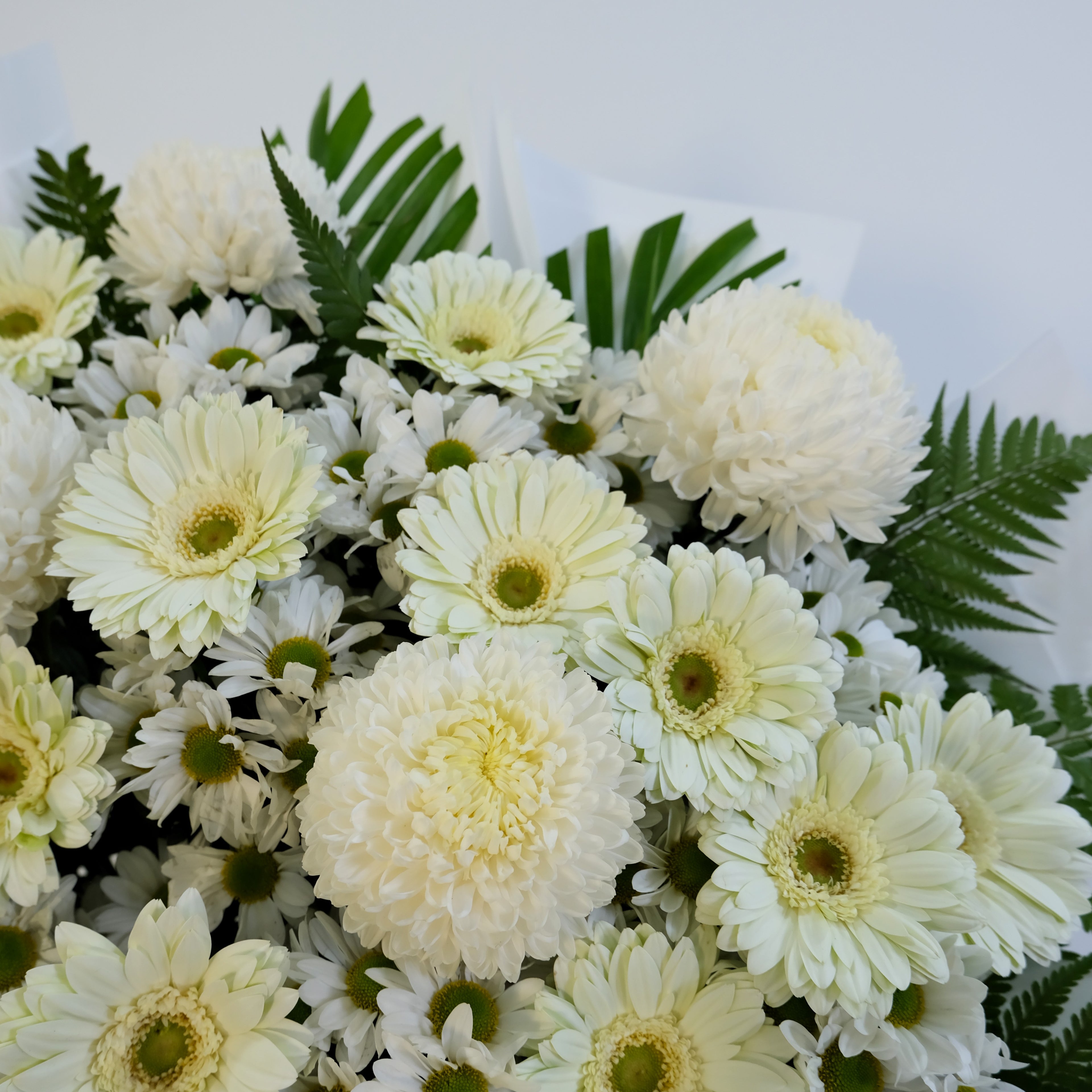 Bouquet of white flowers with green leaves on a light gray background