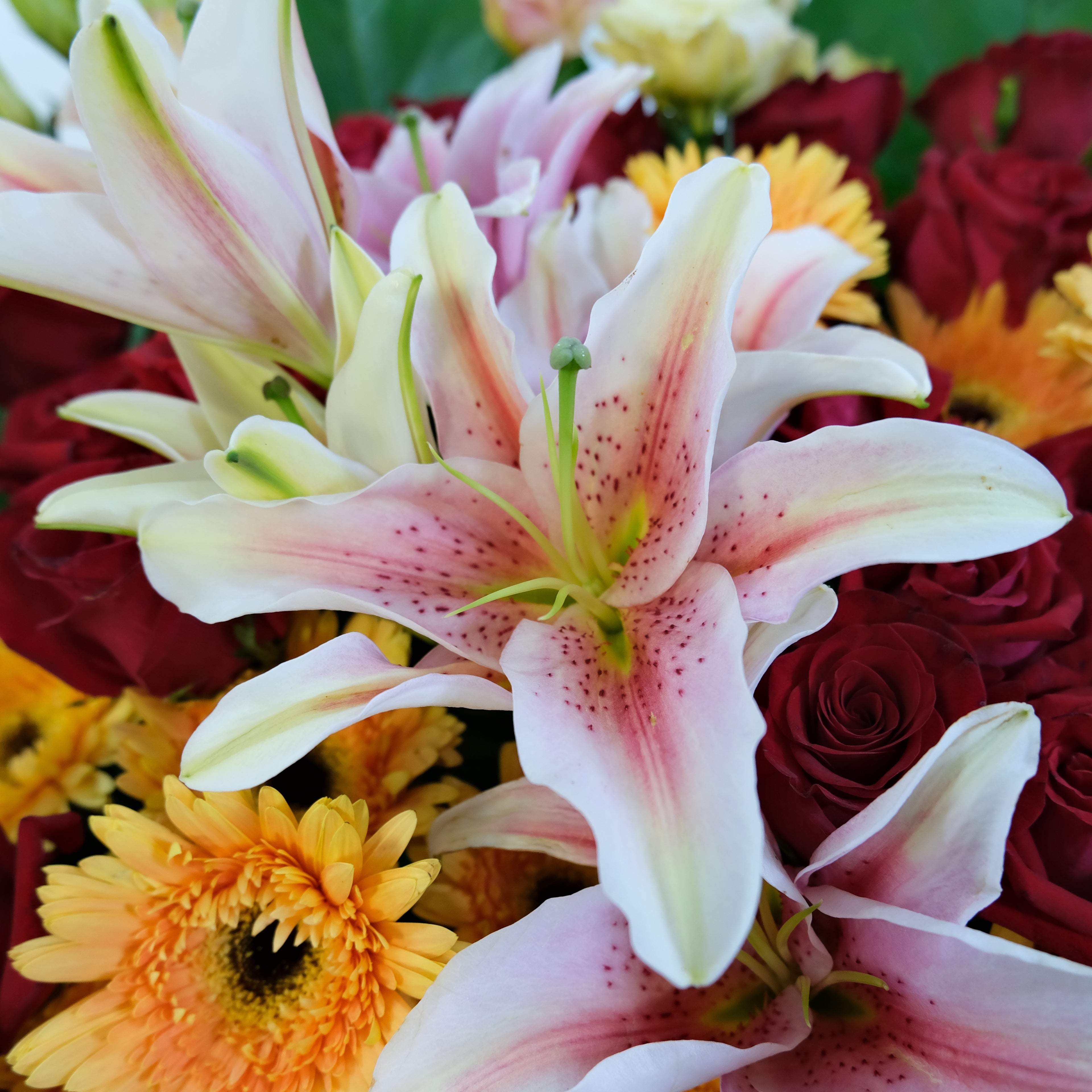 Bouquet of flowers including pink lilies, red roses, and yellow gerberas.