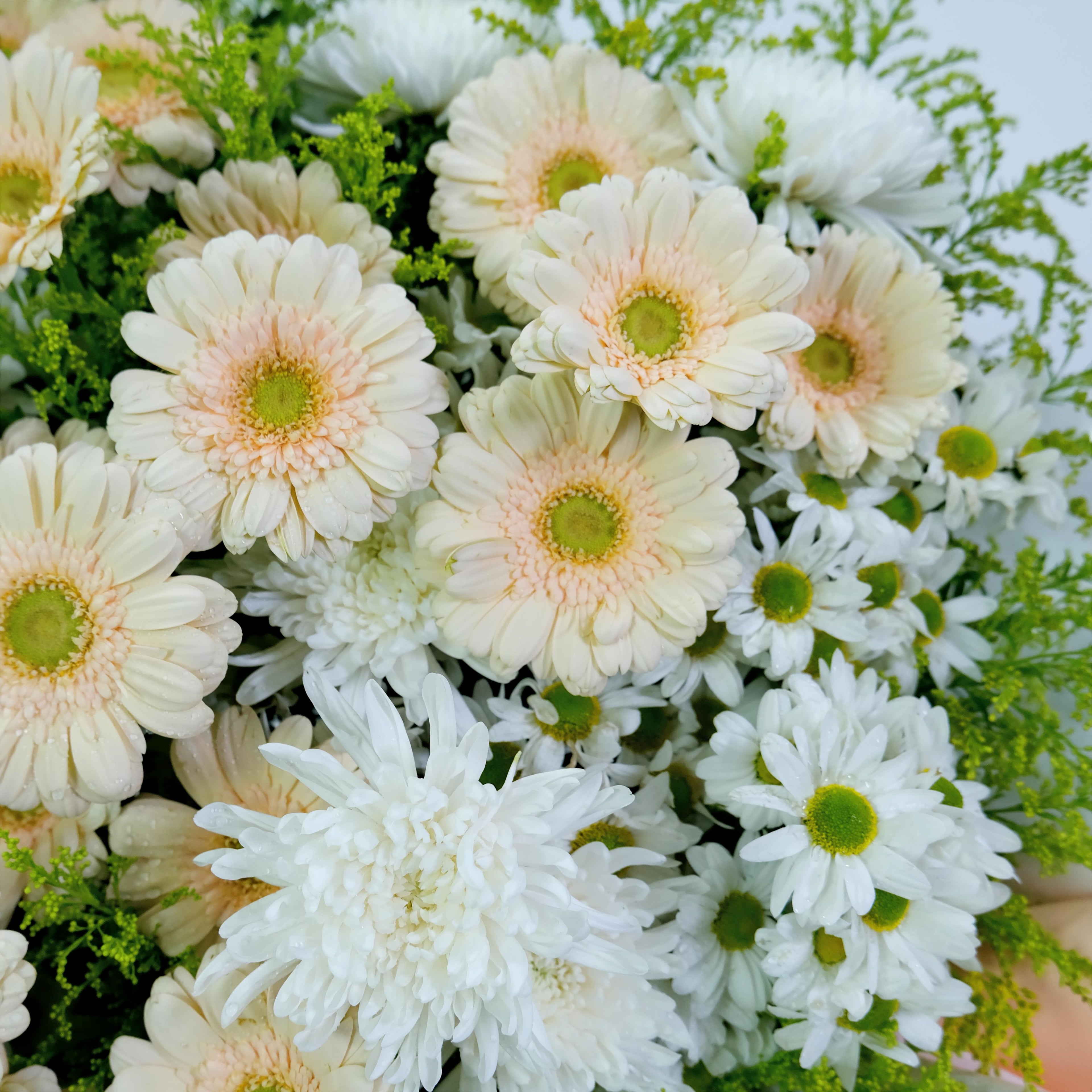 Bouquet of white and light pink flowers with green centers