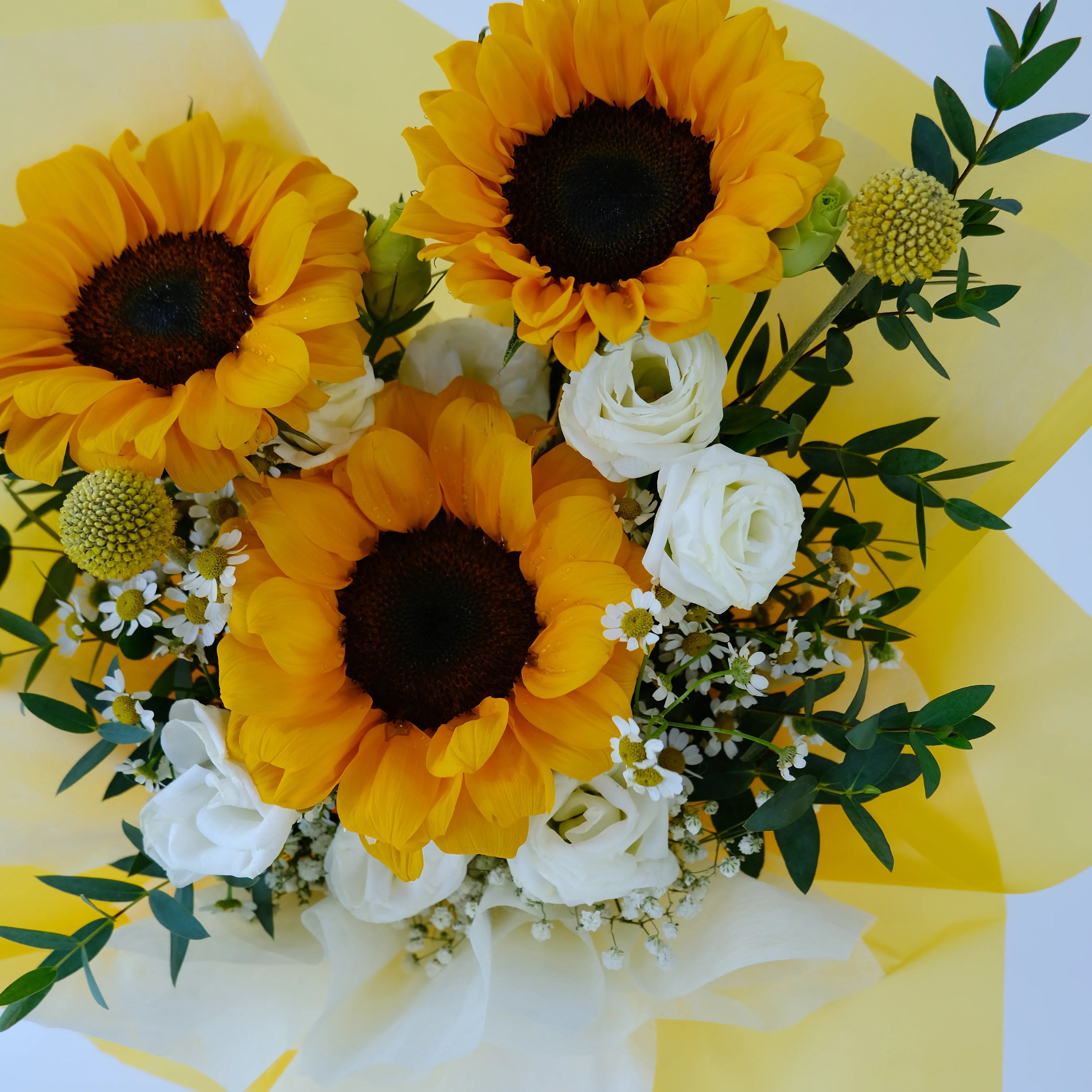 Sunflower bouquet with white roses, chamomile, billy balls and greenery in yellow wrapping.