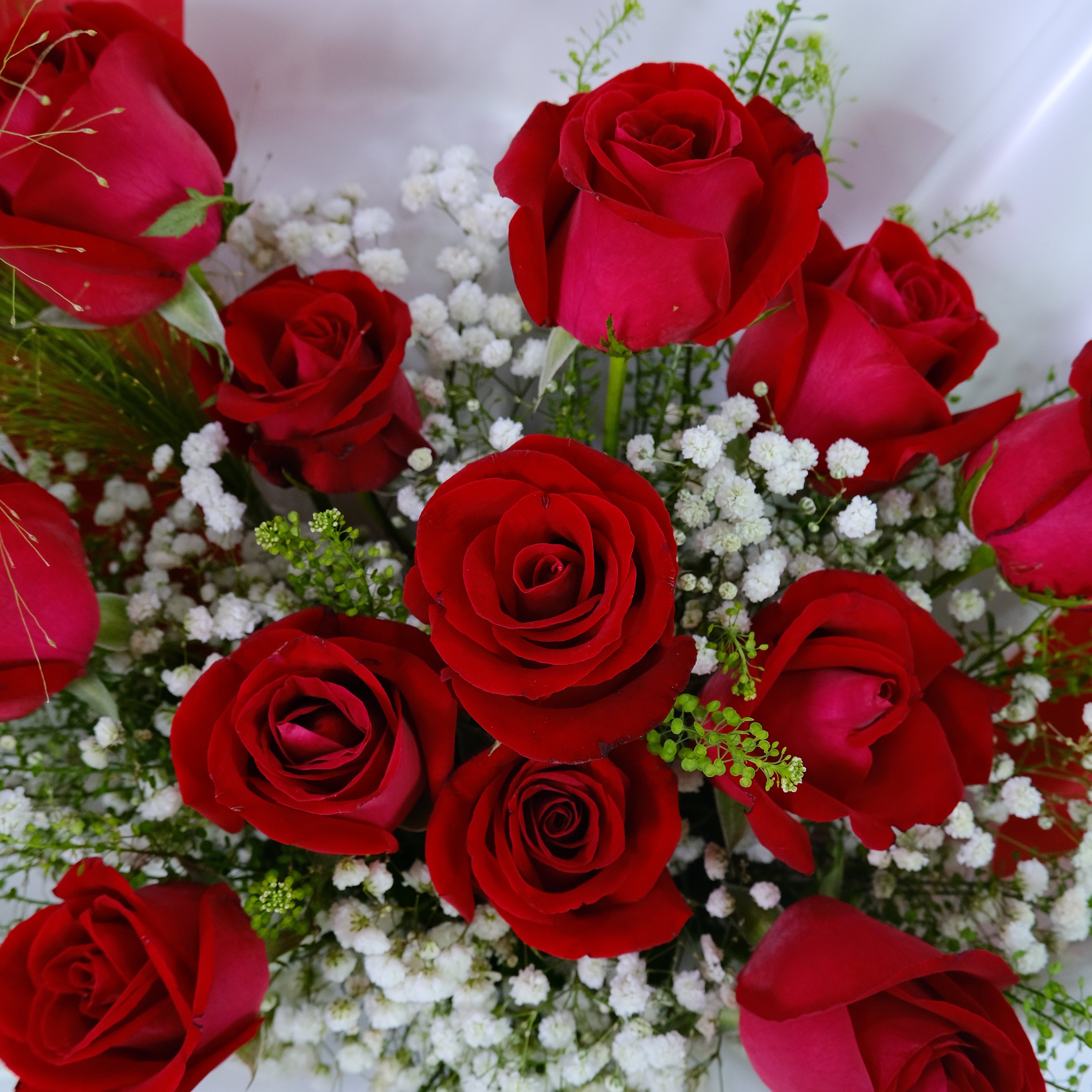 Bouquet of red roses with white baby's breath flowers