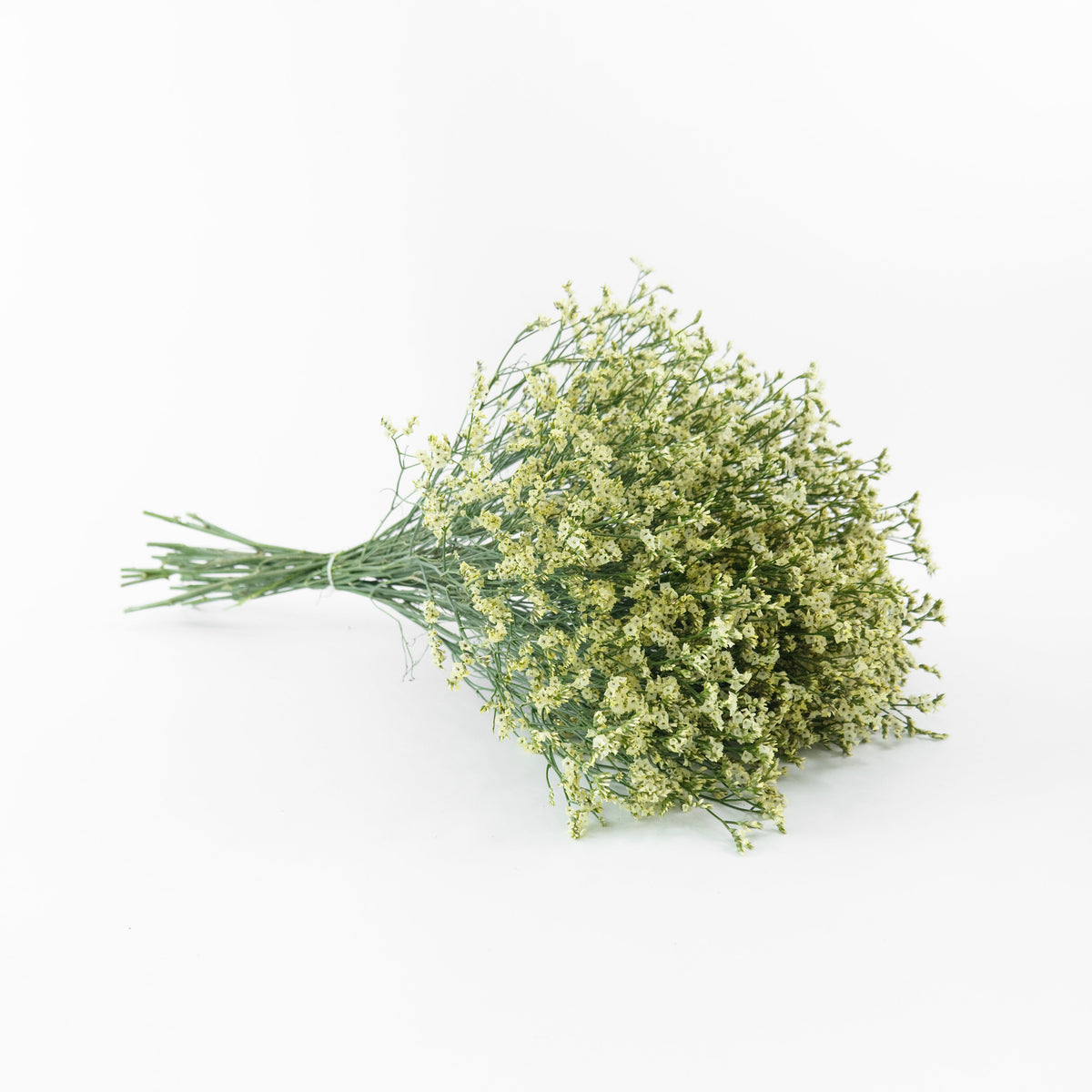 Caspia - Yellow China