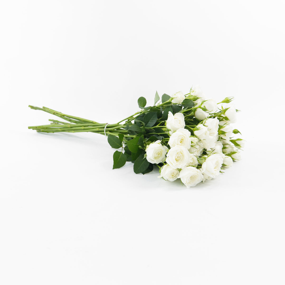 Rose Spray - White China