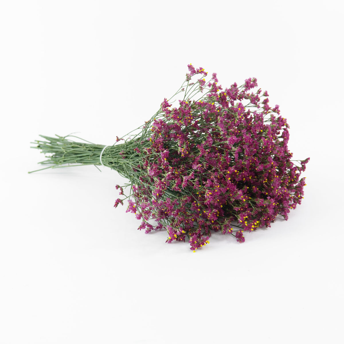 Caspia - Dark Pink China