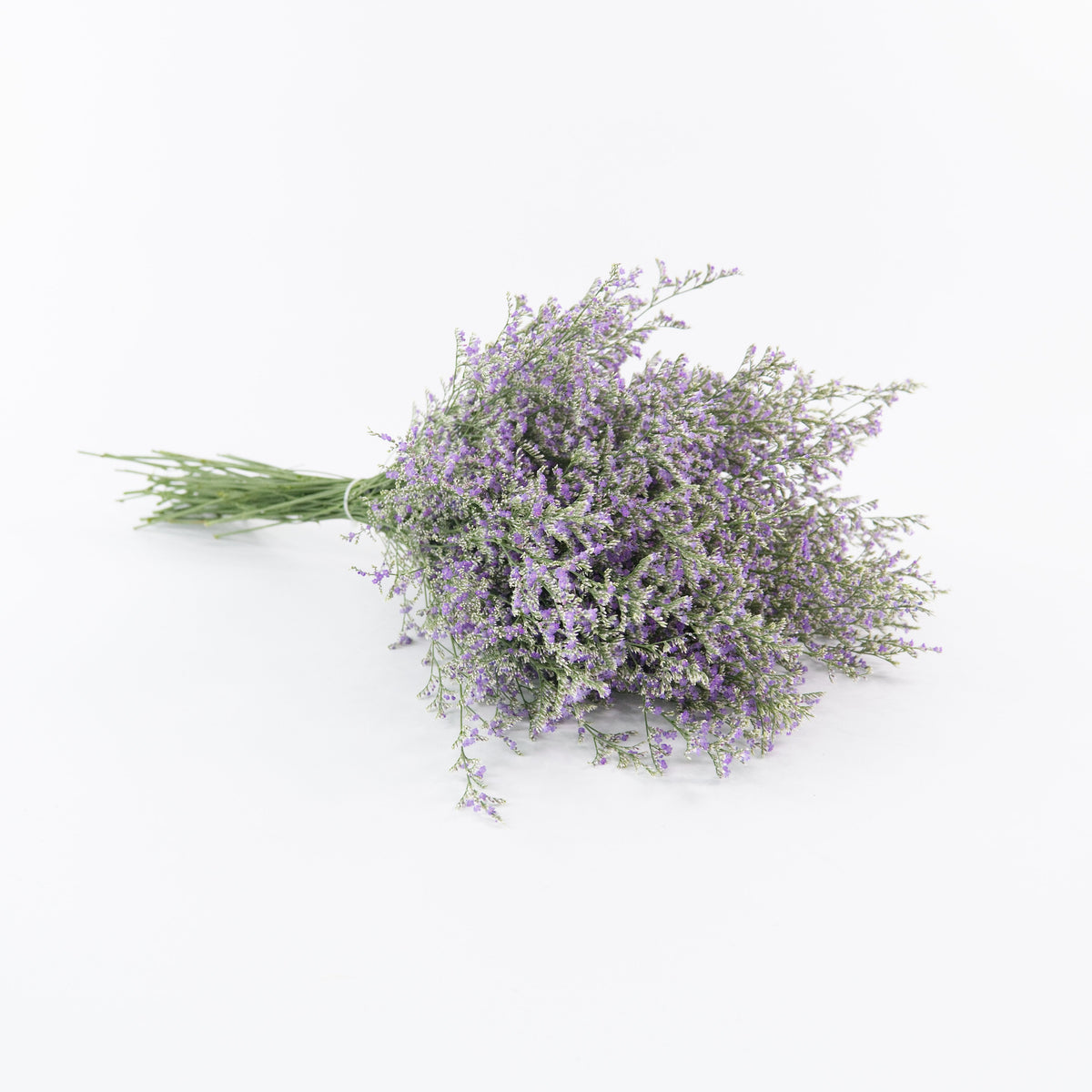 Caspia - Purple China