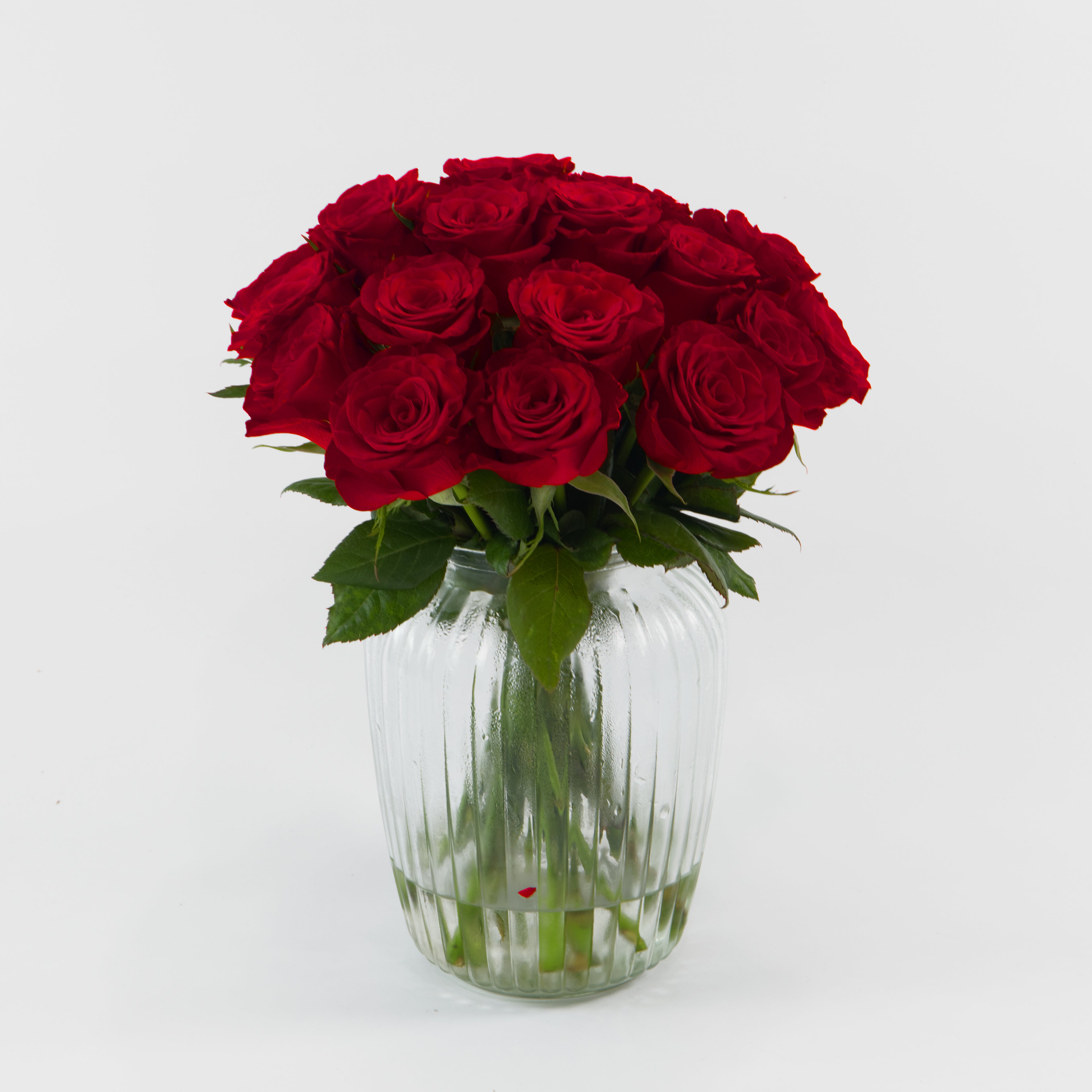 Bouquet of red roses in a clear glass vase on a white background