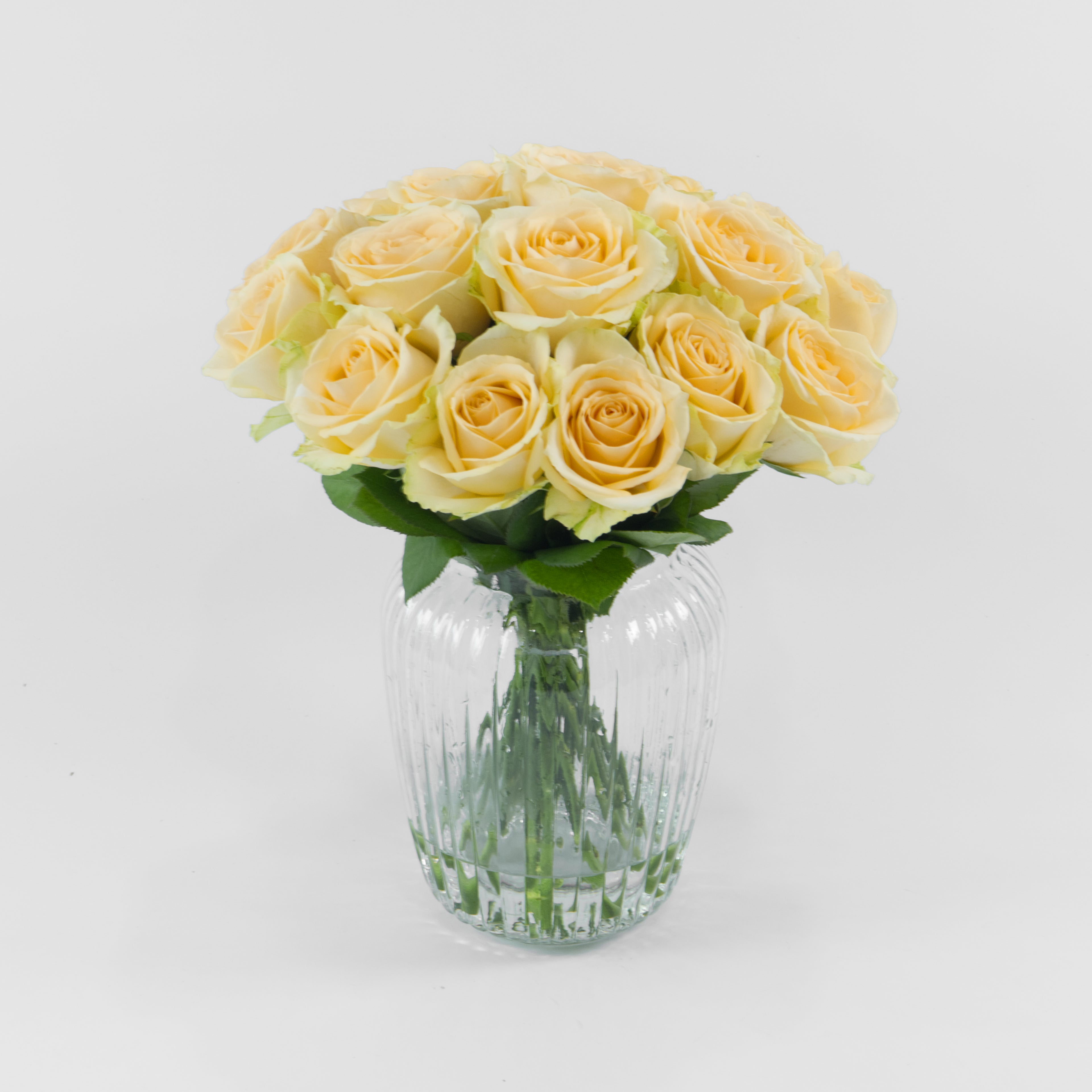 Bouquet of yellow roses in a clear glass vase on a white background