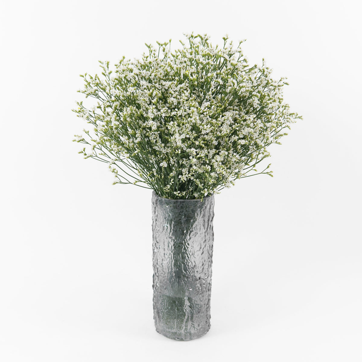Caspia - White China