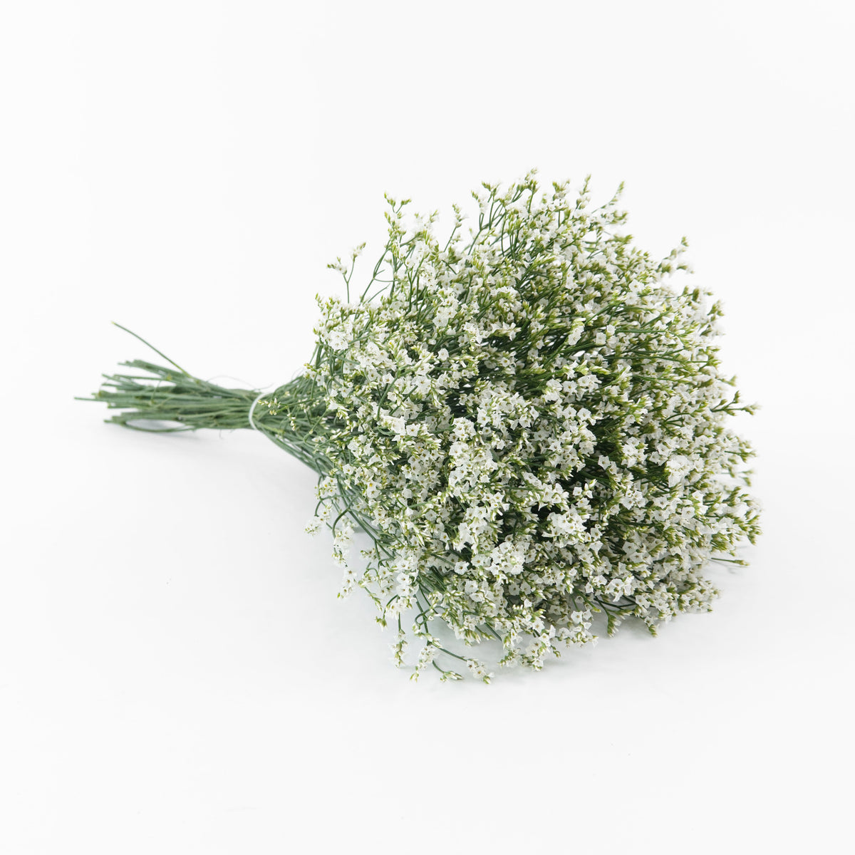 Caspia - White China