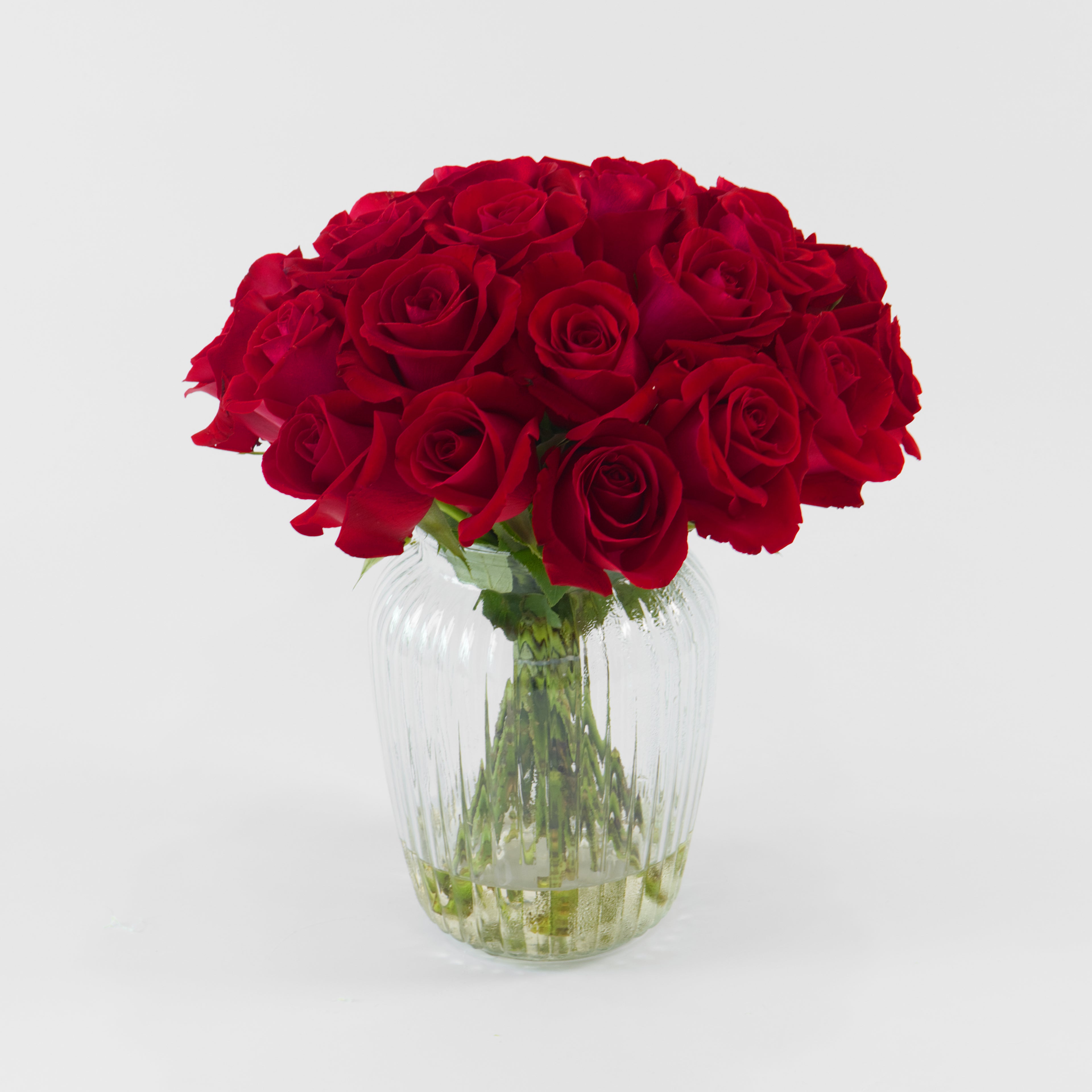 Bouquet of red roses in a clear vase on a light gray background