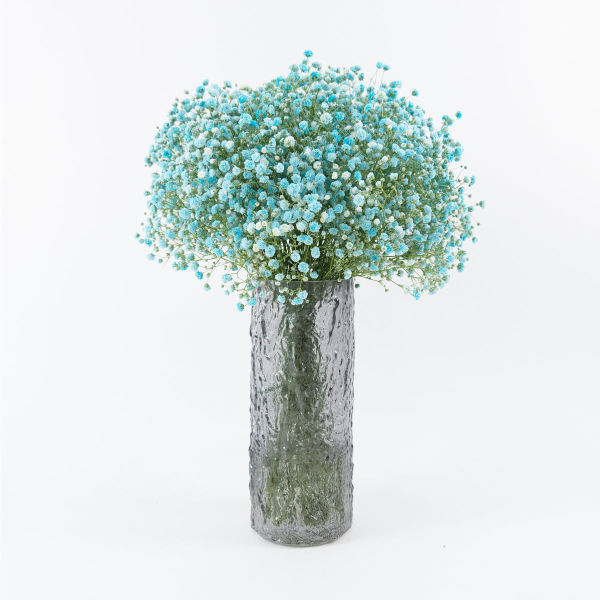 Gypsophila Baby Breath - Blue China