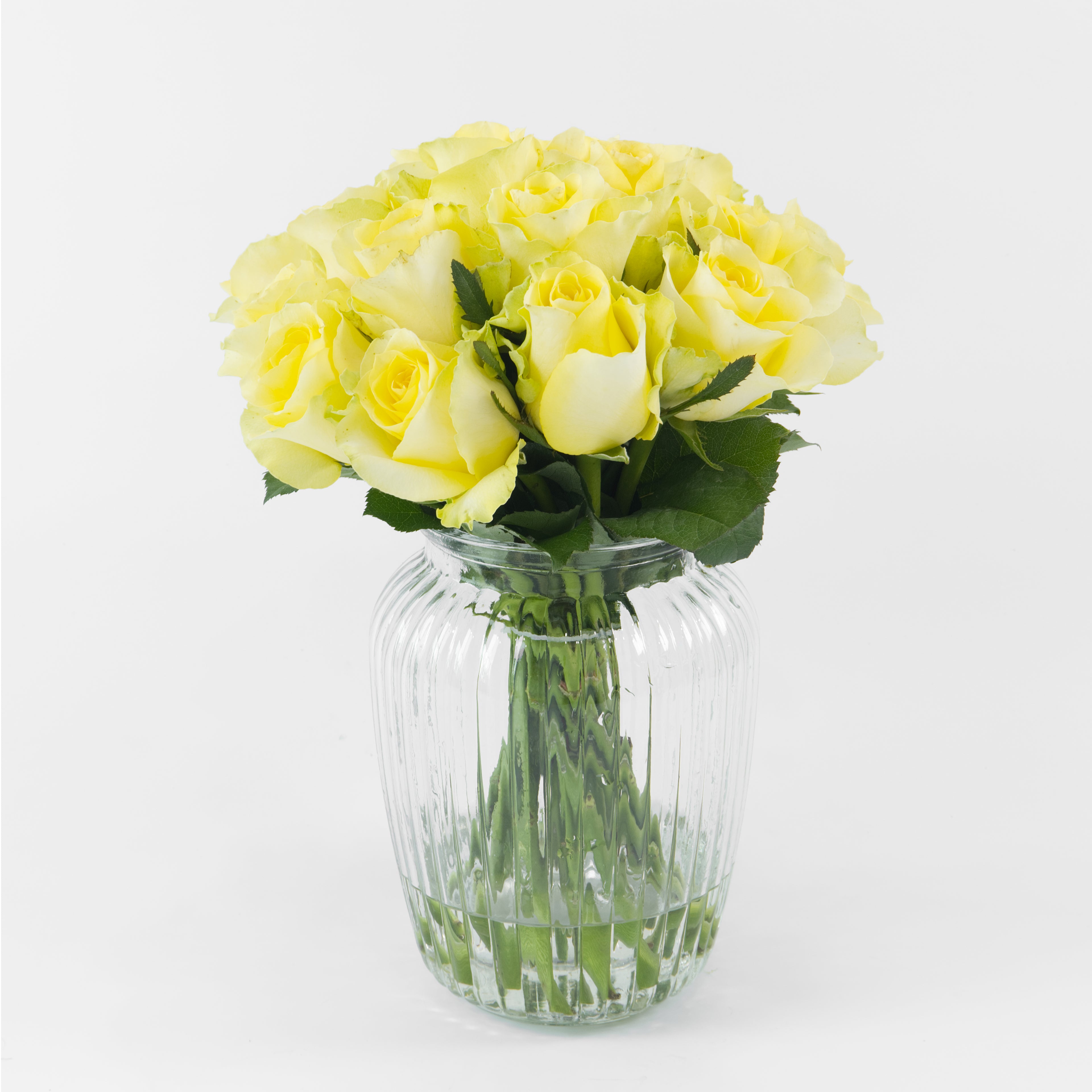 Clear glass vase with yellow roses on a white background