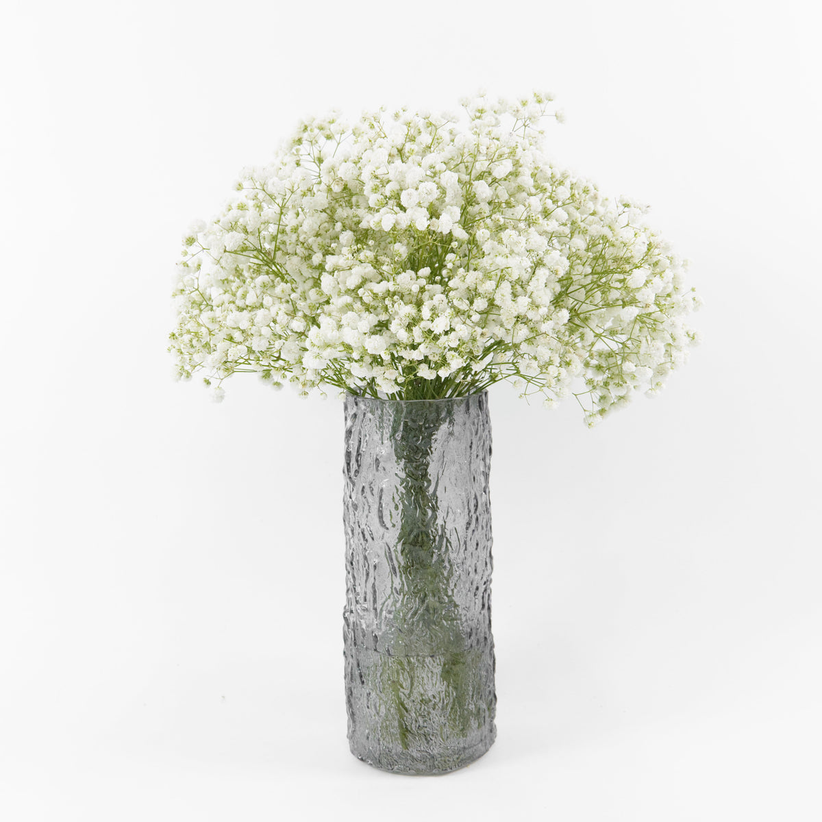 Gypsophila Baby Breath - White China