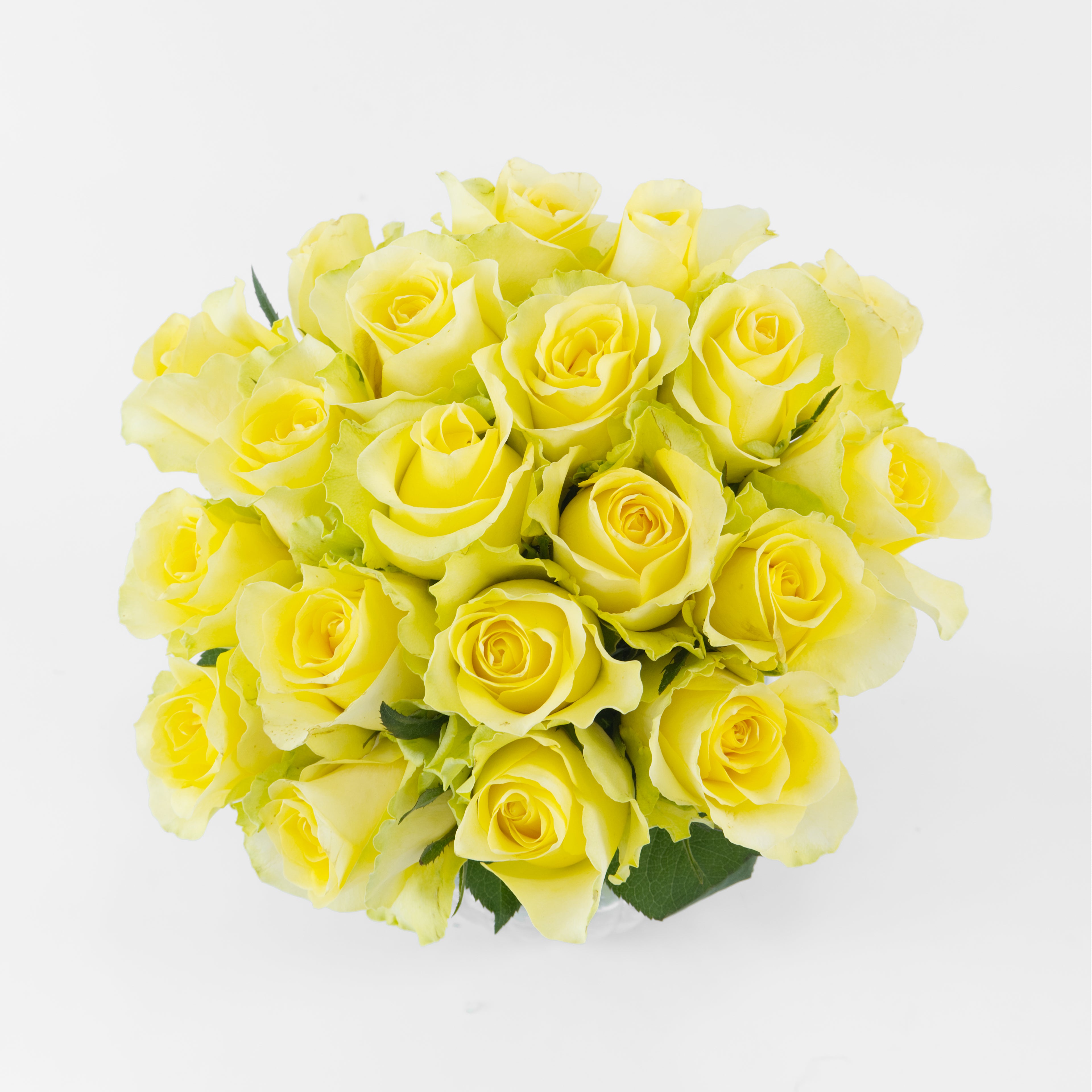 Bouquet of yellow roses on a white background