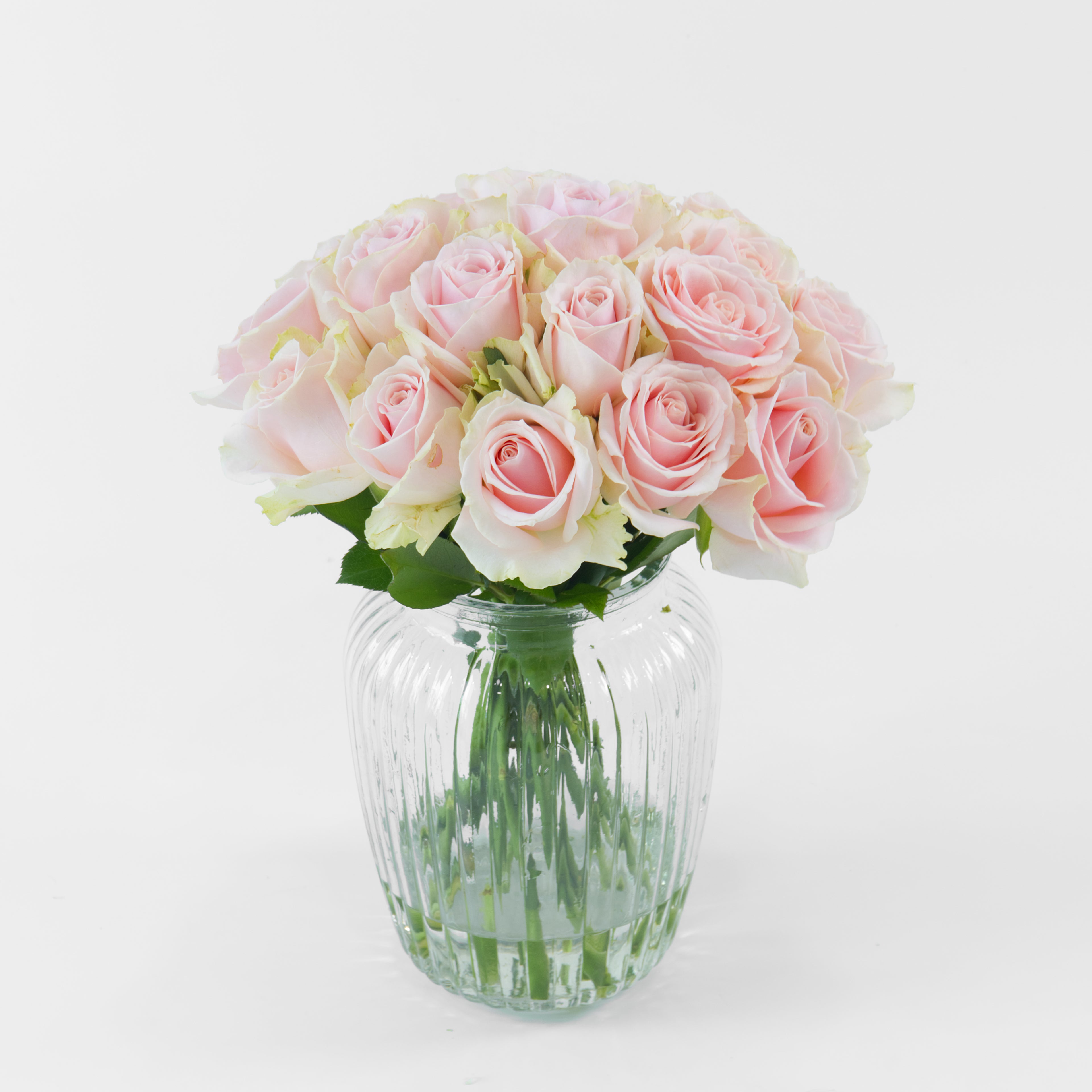 Bouquet of pink roses in a clear glass vase on a white background