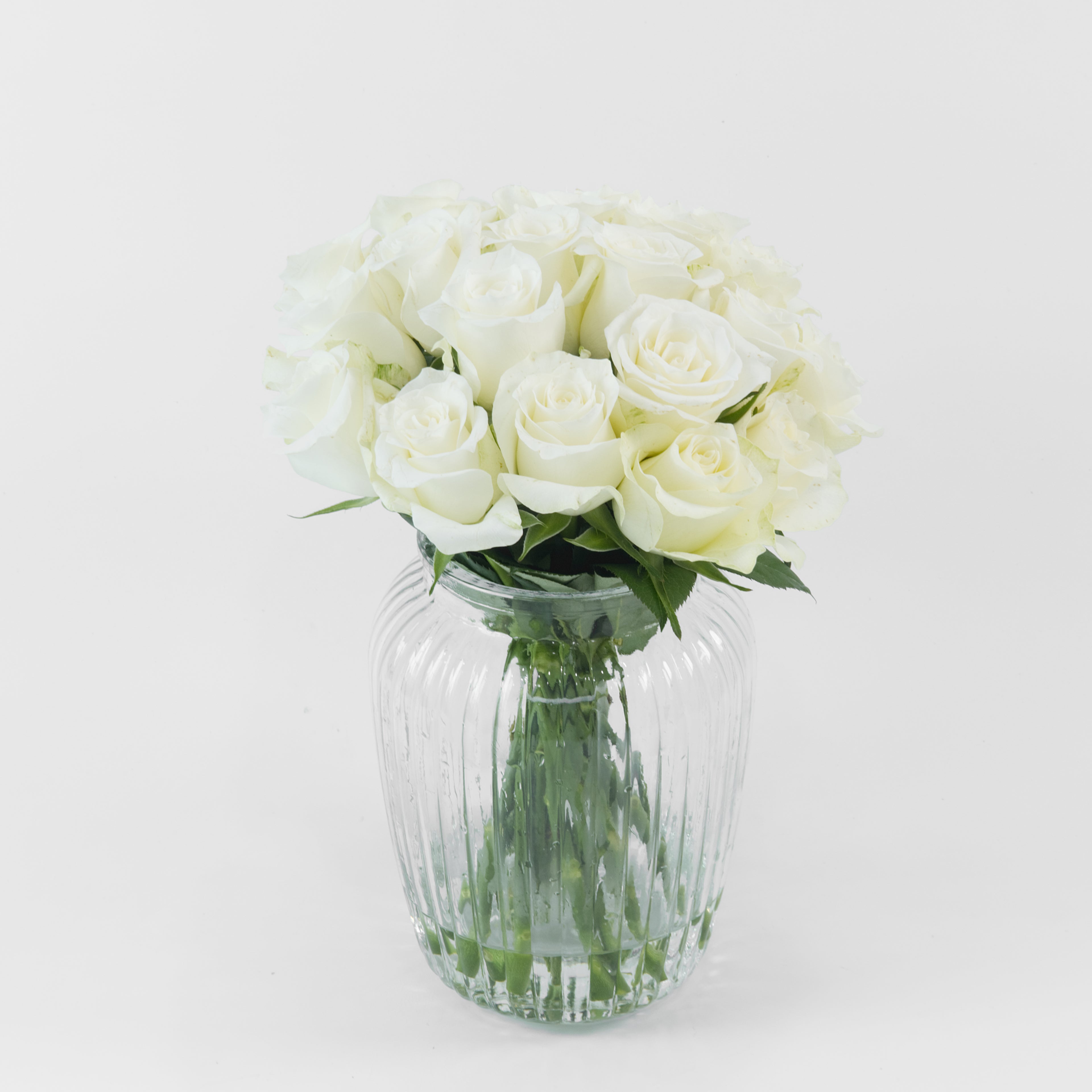 Clear glass vase with white roses on a light gray background
