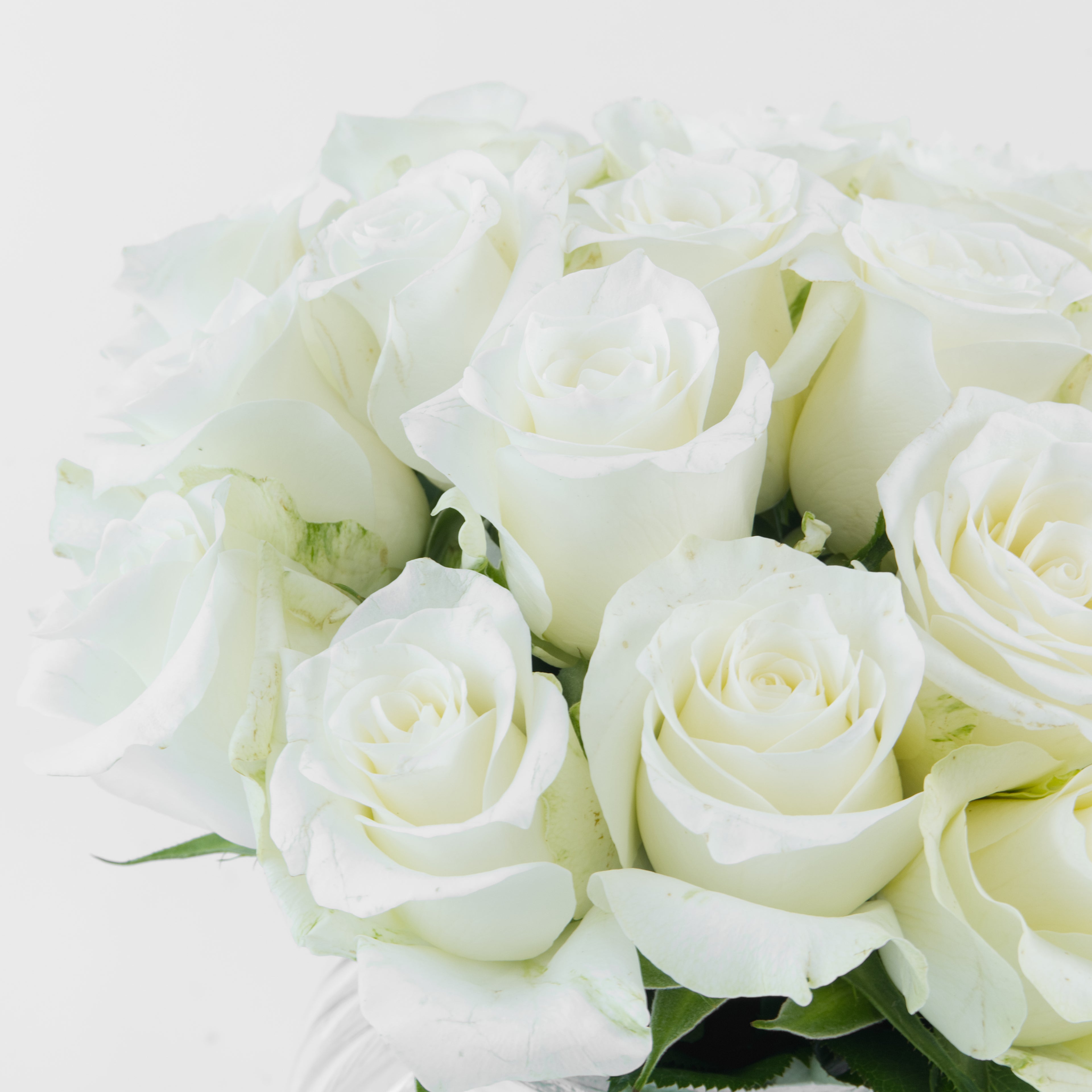Close-up of a bouquet of white roses on a light background