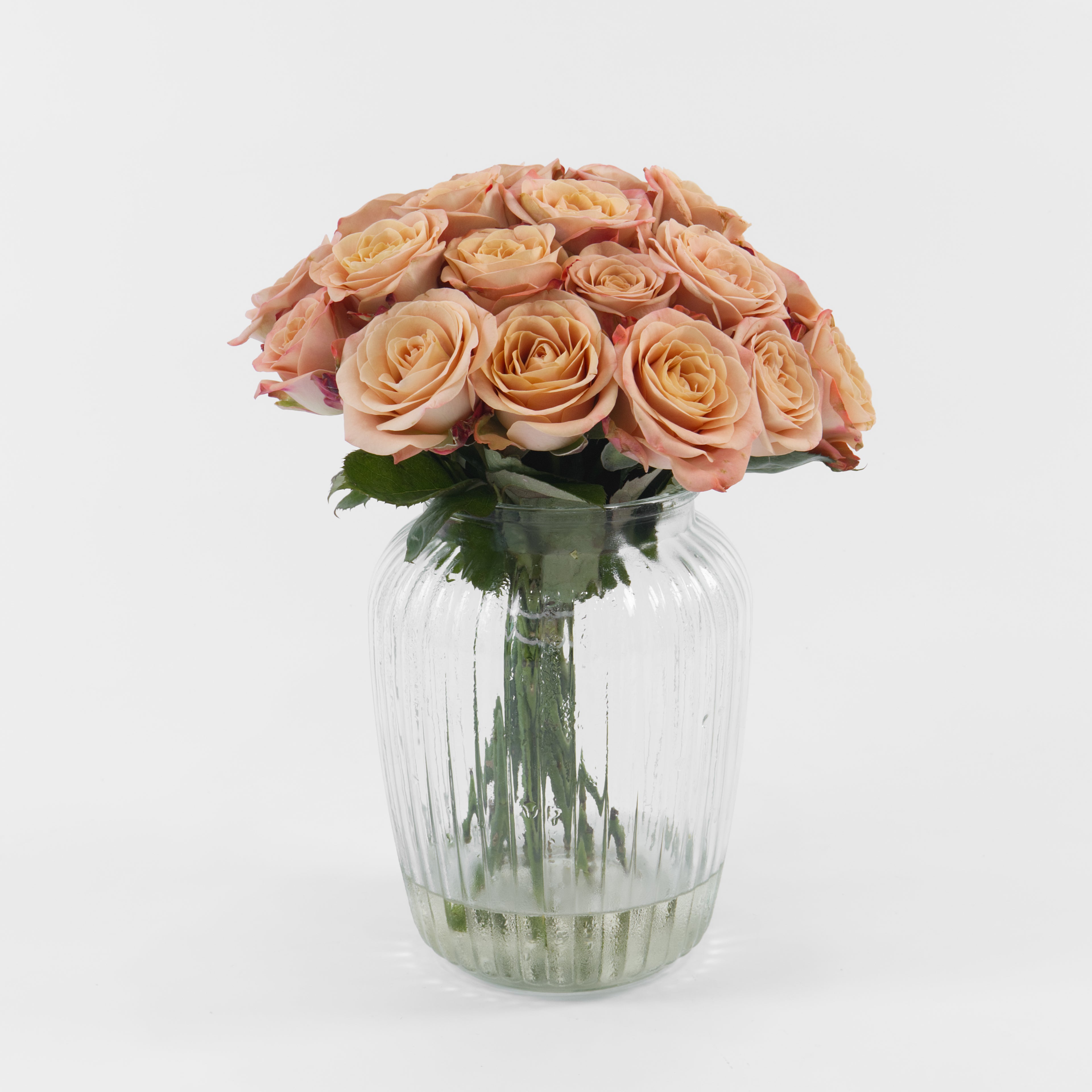 Clear glass vase with peach-colored roses on a white background