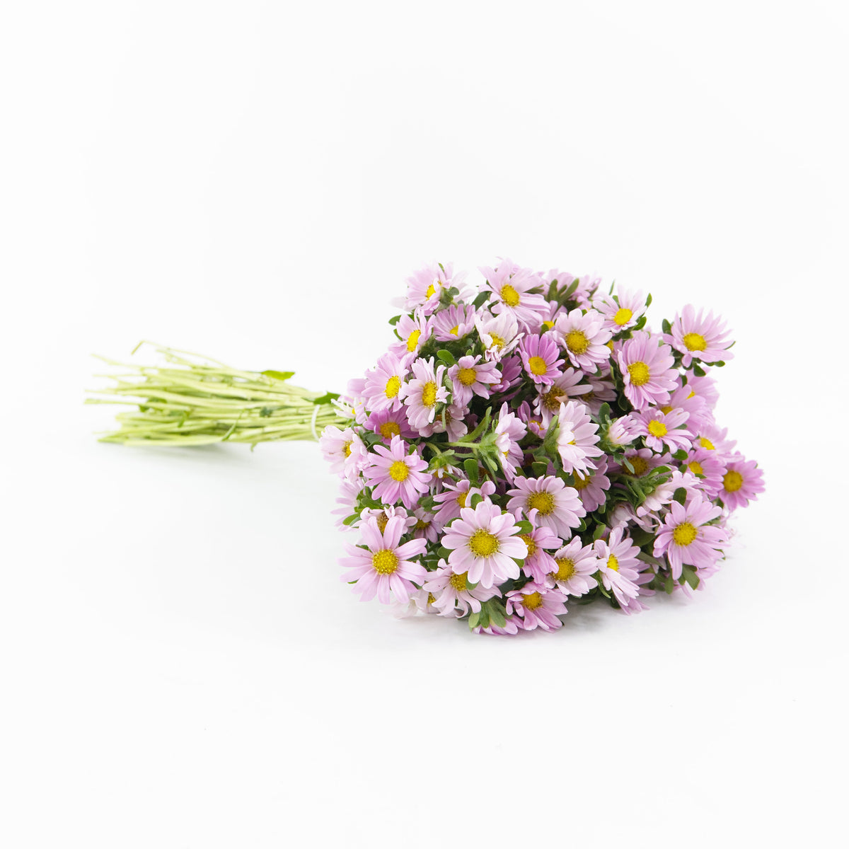 Hana - Pink China