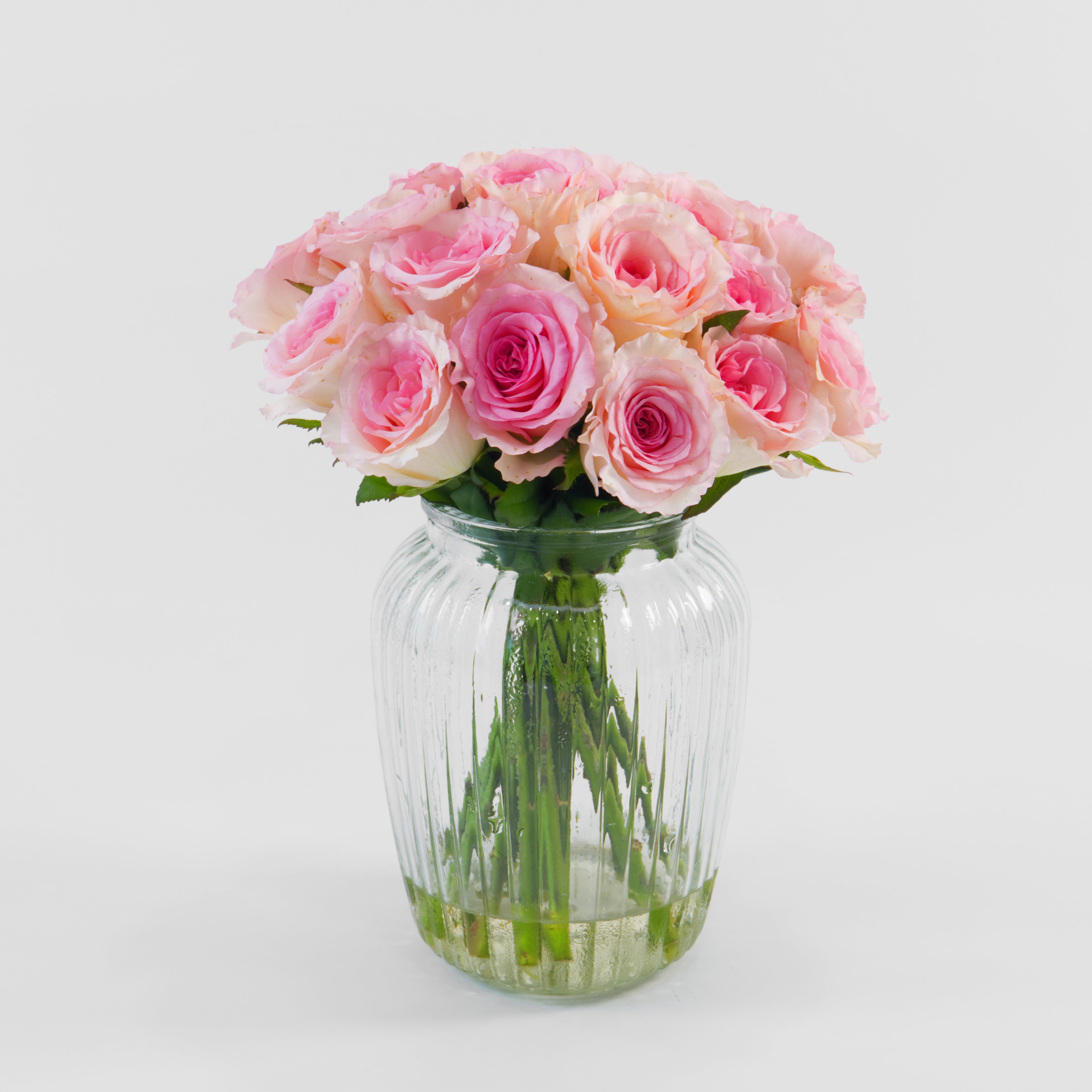 Clear glass vase with pink roses on a white background