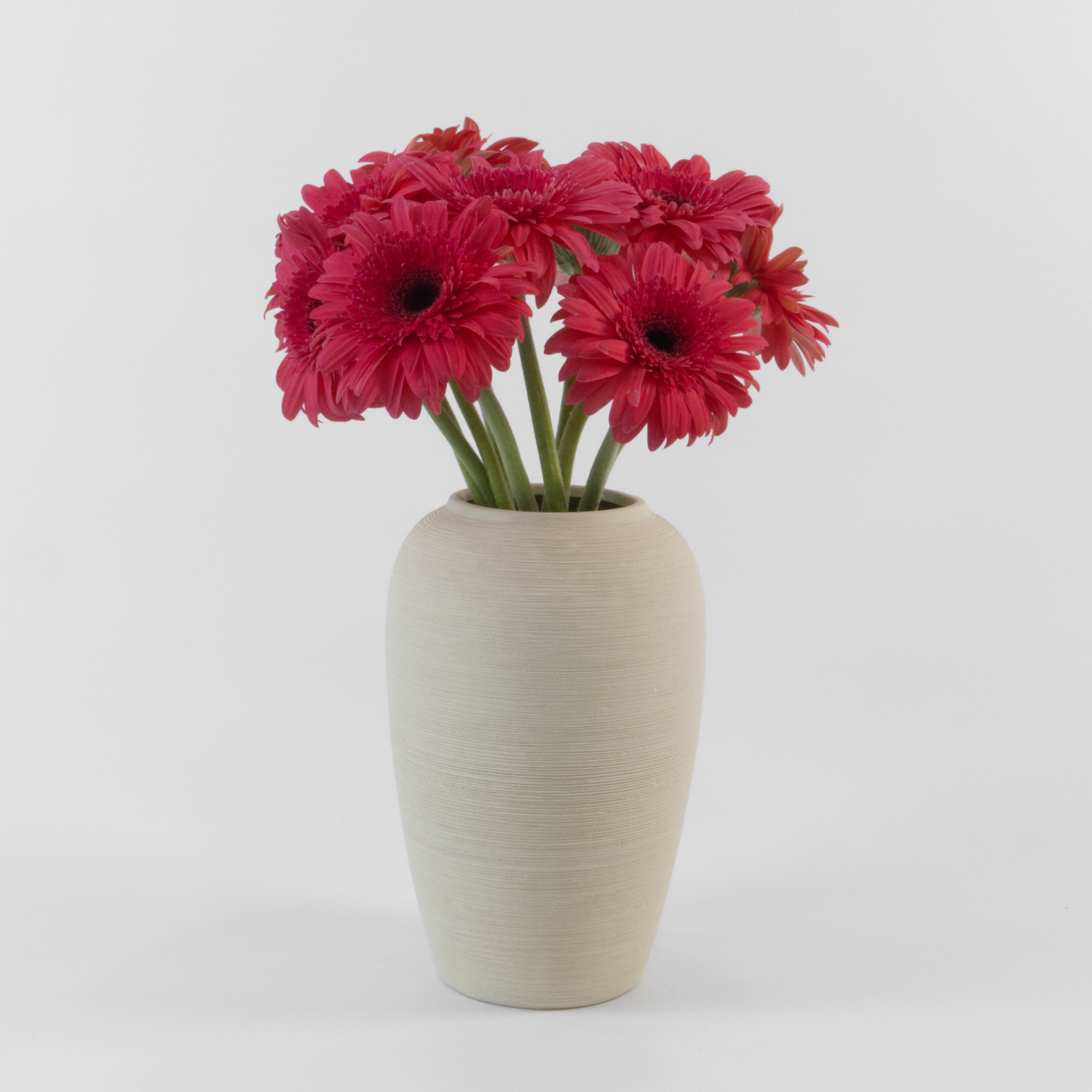 Fresh-cut dark pink gerbera flowers delivered across Malaysia

