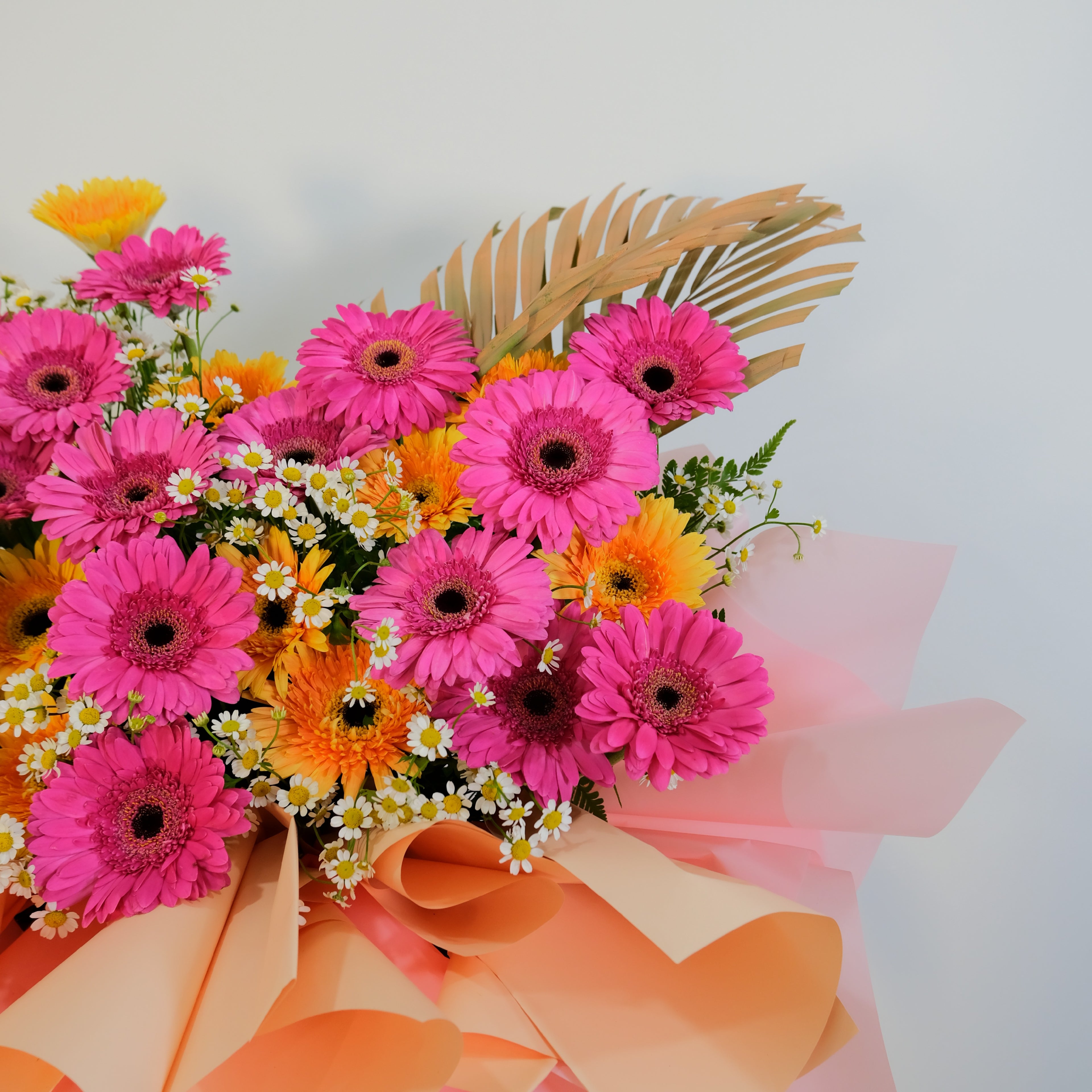 Bouquet of pink and orange flowers with a white background