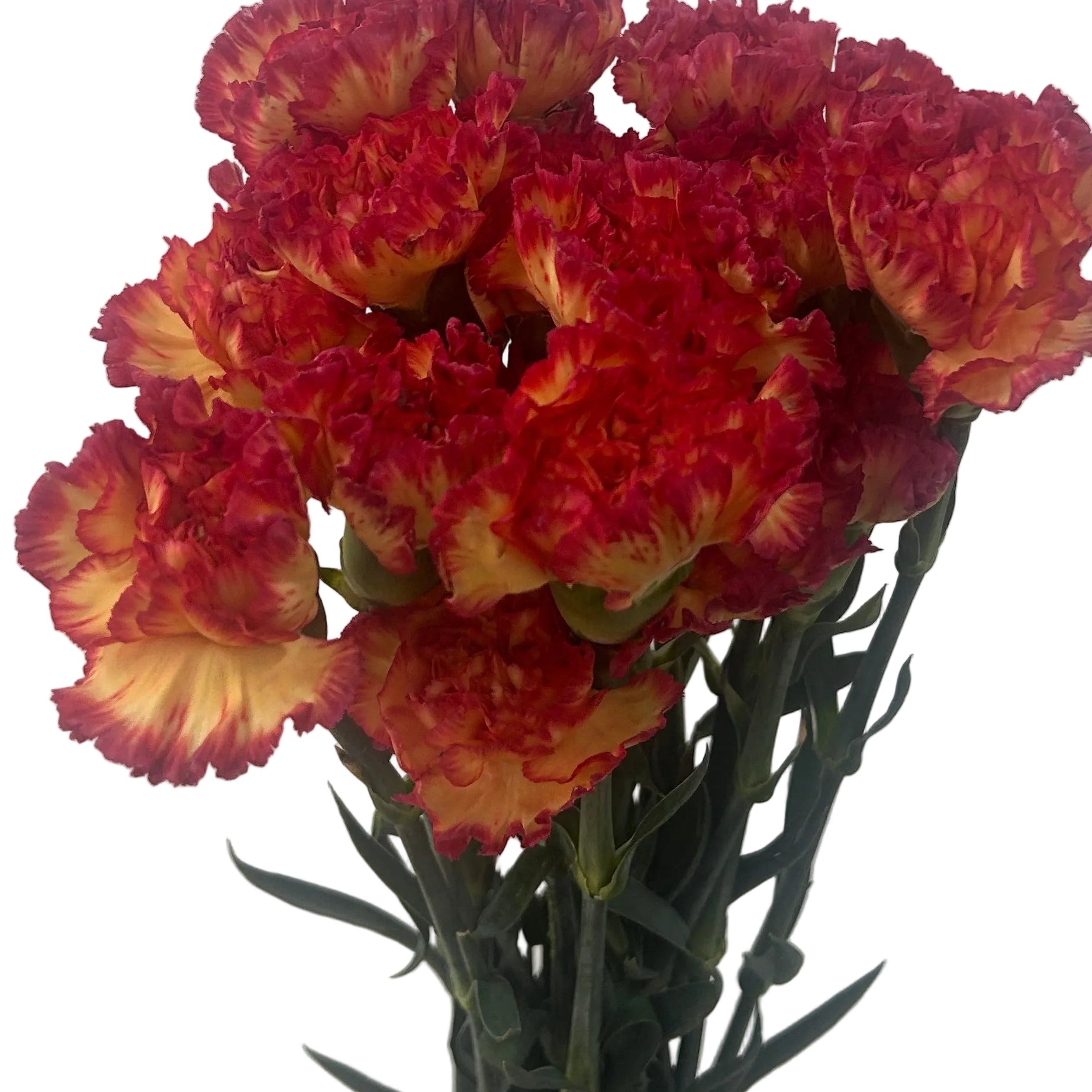 Bouquet of red and yellow flowers against a light gray background